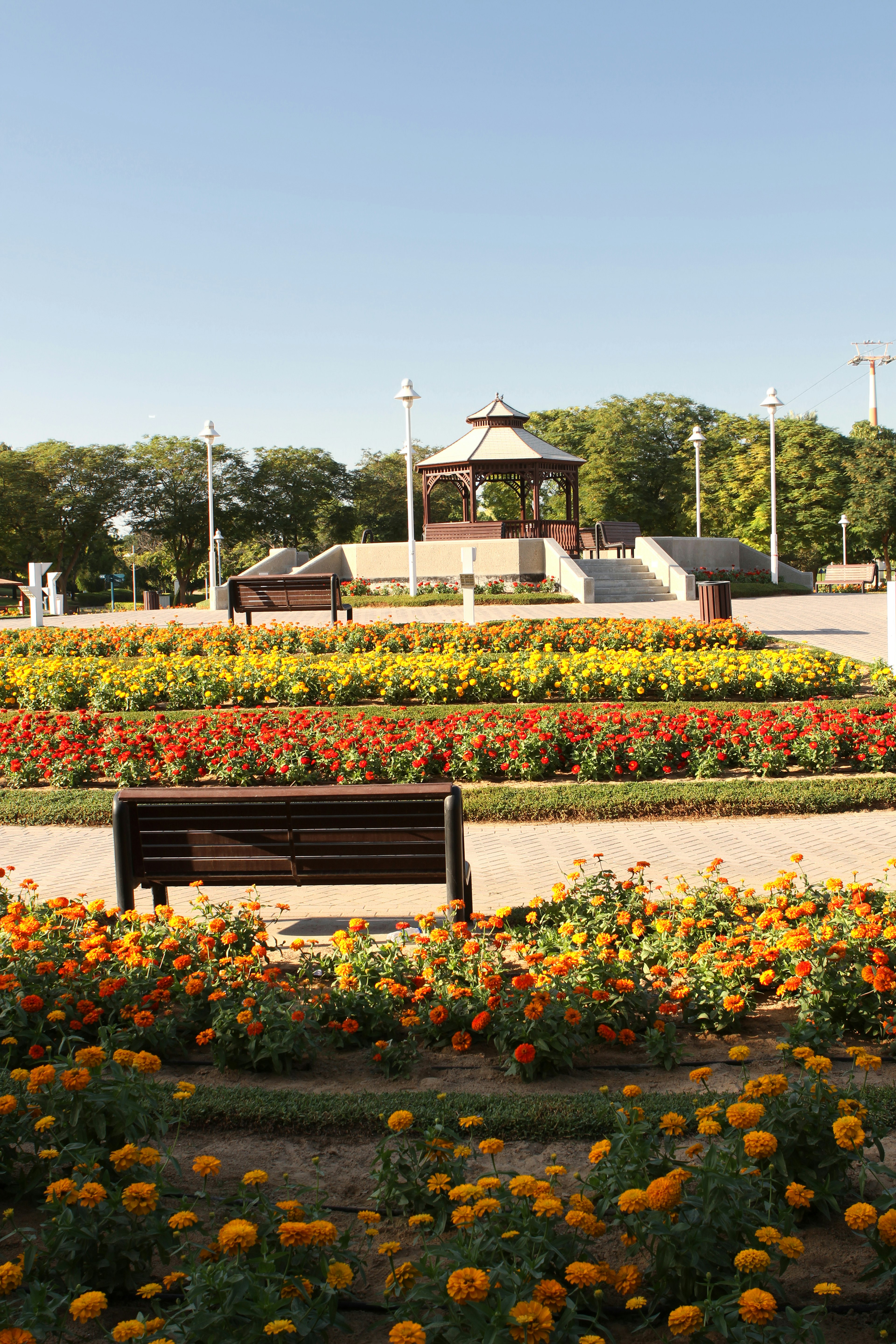 Flowers and a pavilion at Creek Park in Dubai, United Arab Emirates