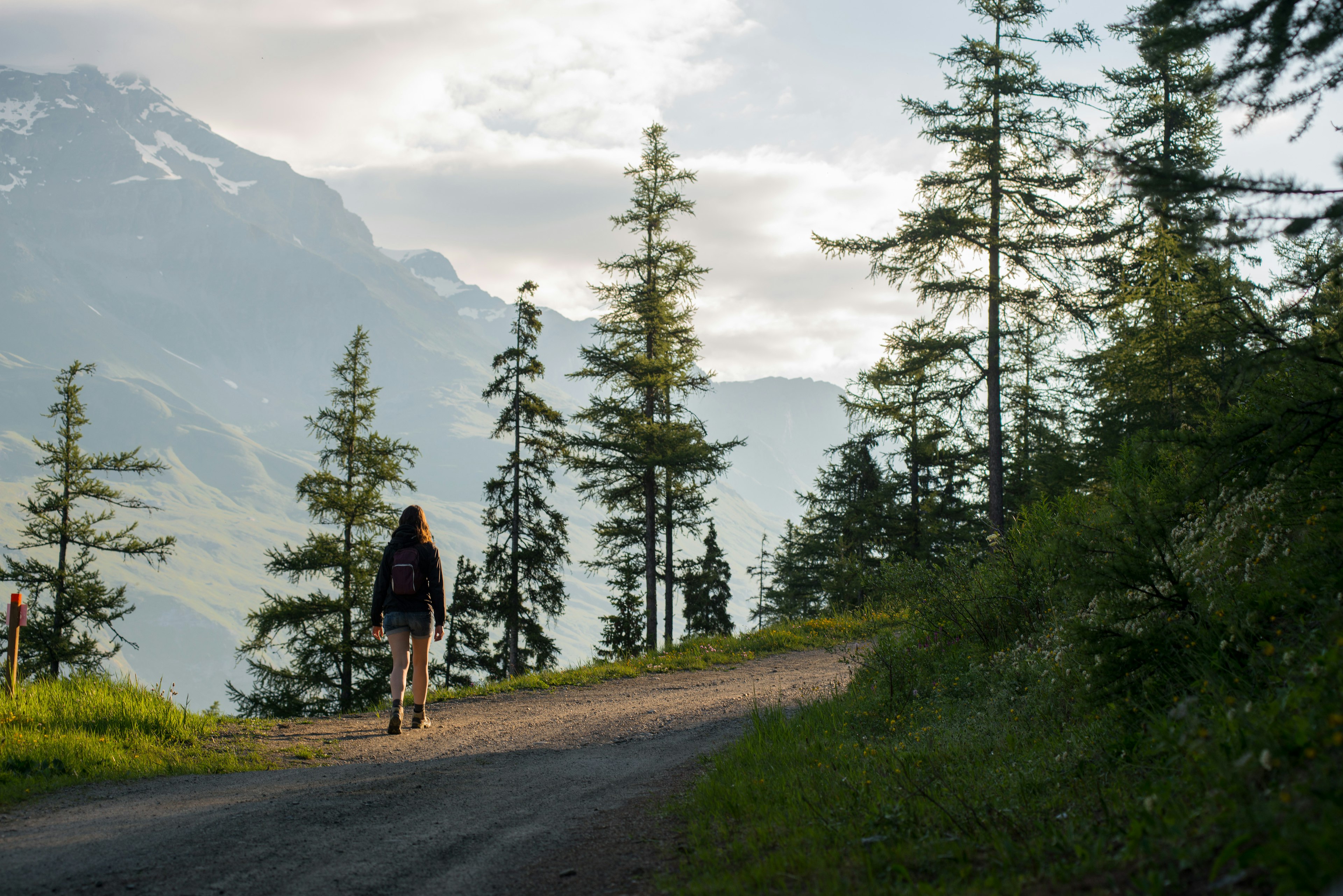 Young Adult Woman Hiking on Mountain Trail at Sunrise with Alps in Background, Col du Mont Cenis, Val Cenis Vanoise, France