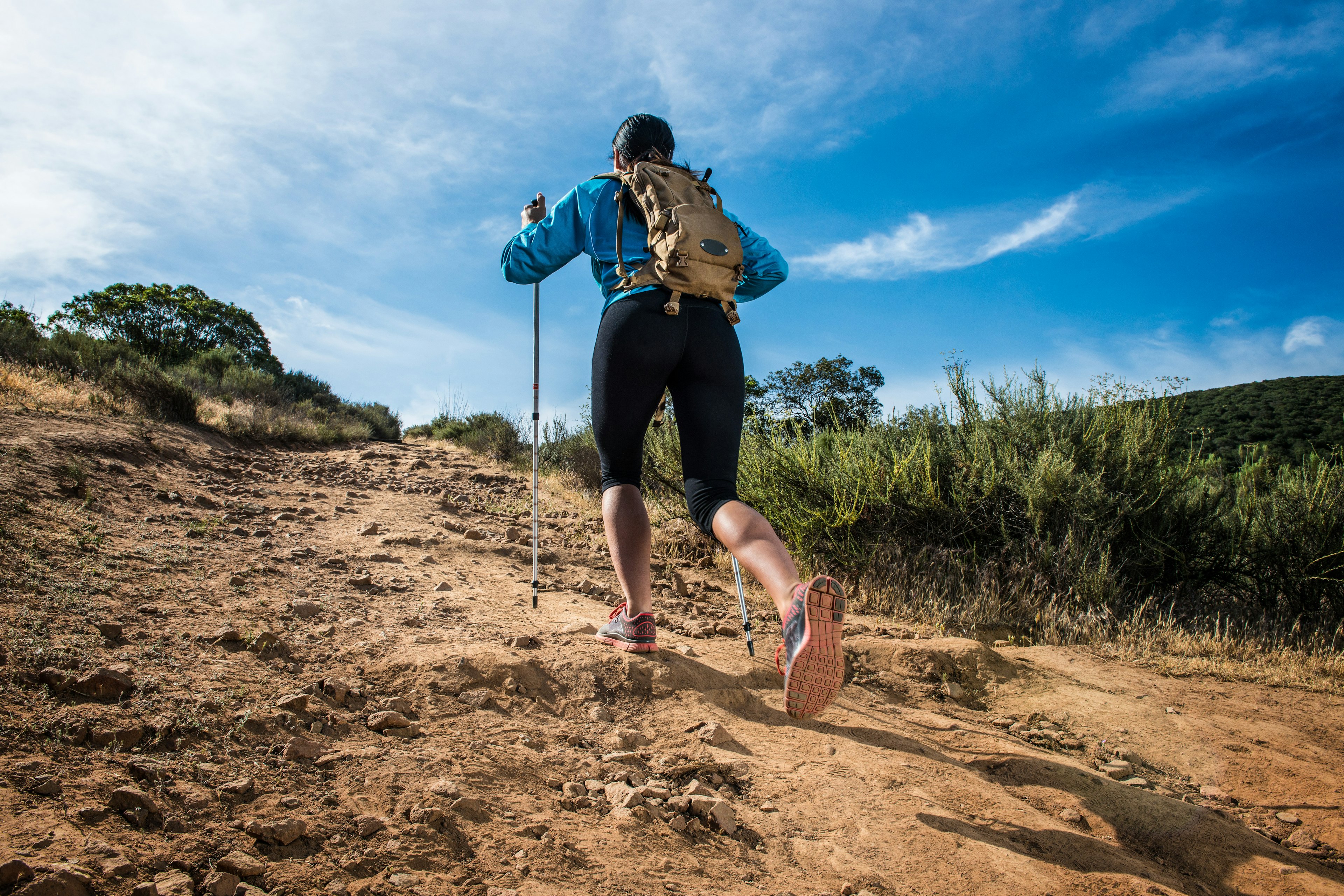 Young woman hiking, rear view