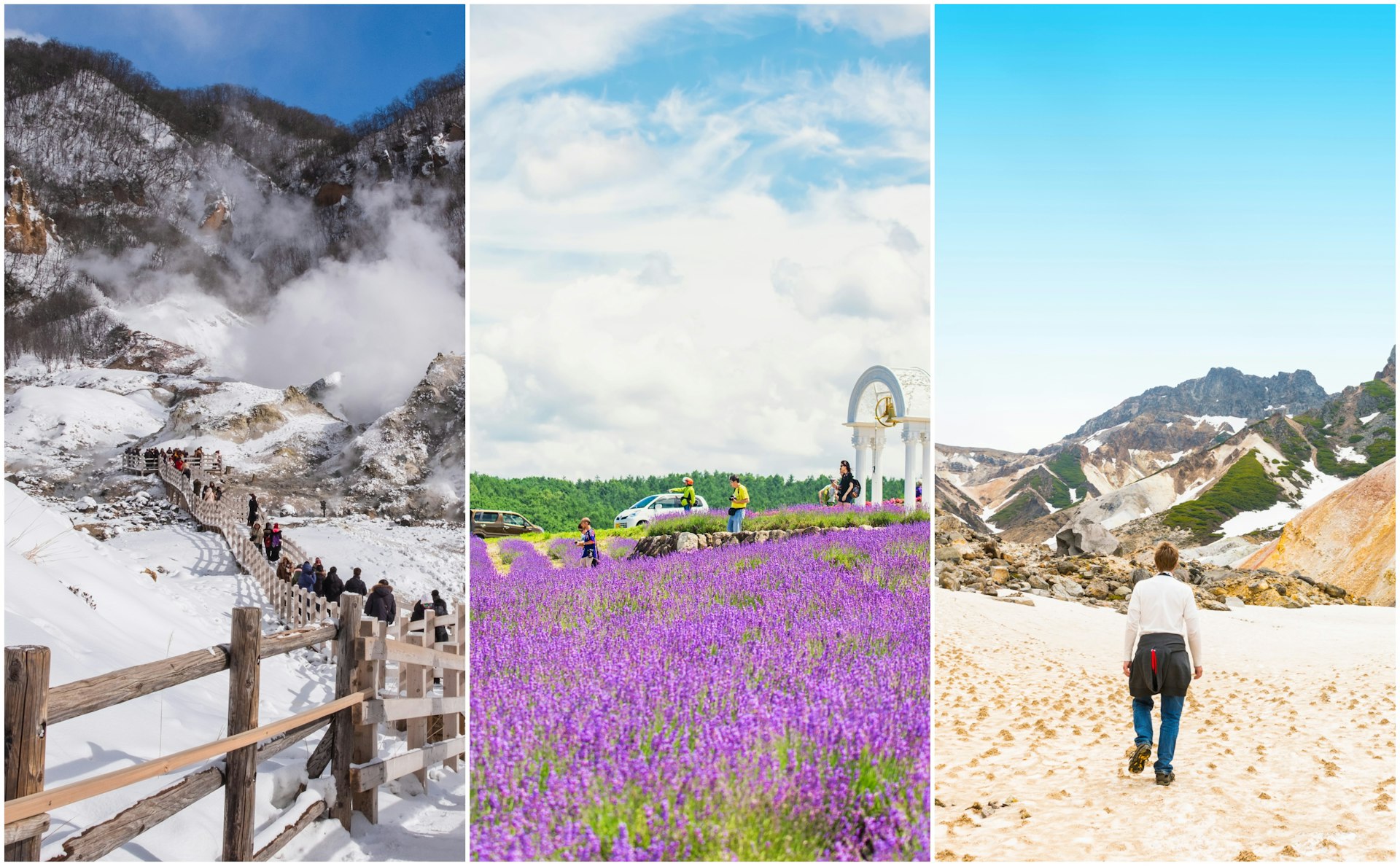 Left: people walk on a wooden walkway through steaming earth; center: wildflowers in parkland; right: a hiker on an active volcano. 