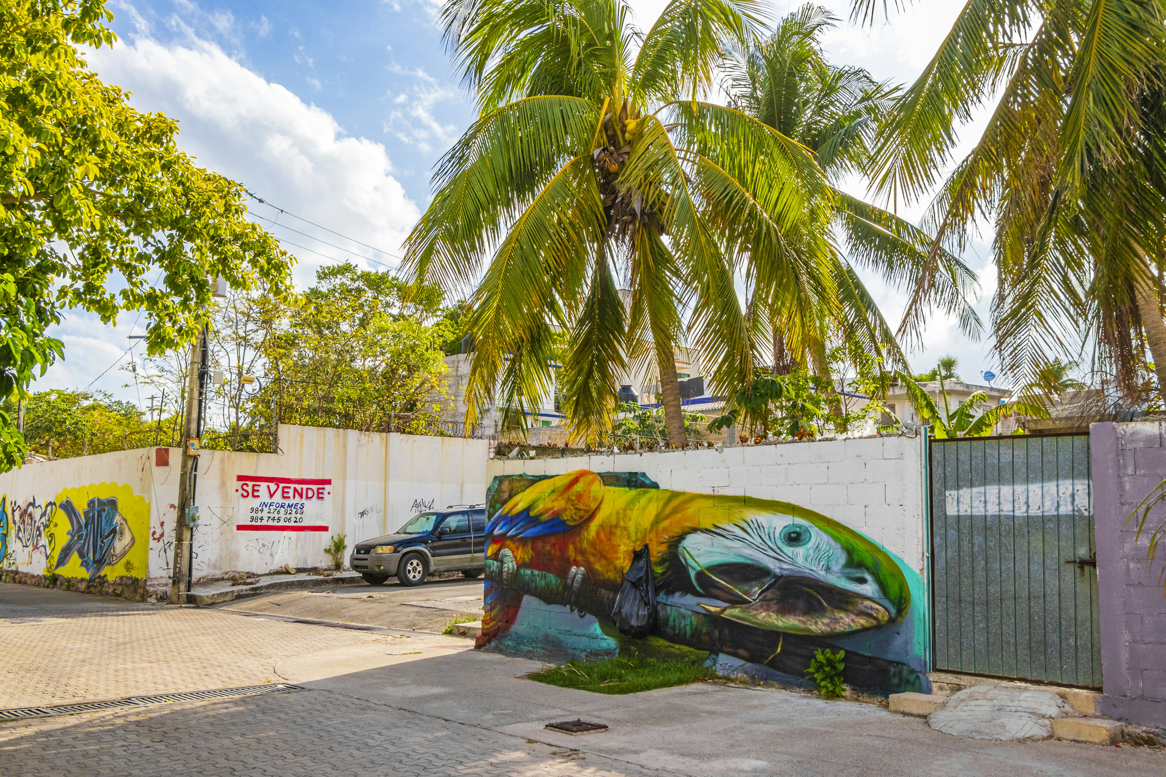 Typical street road and cityscape with cars and buildings of Luis Donaldo Colosio Playa del Carmen in Mexico.