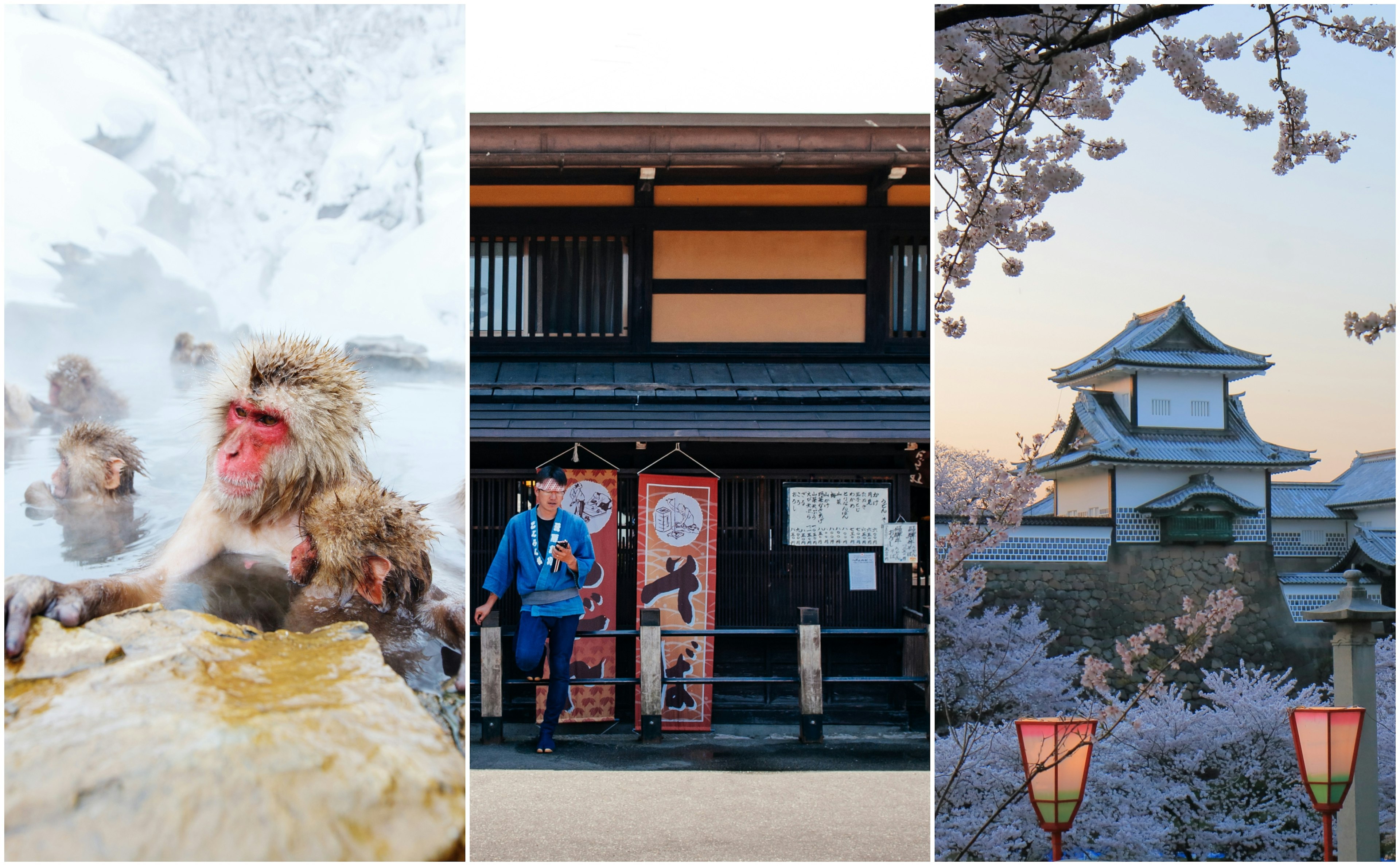 Left: monkeys in a hot springs; center: an old town shopfront; right: a castle at sunset