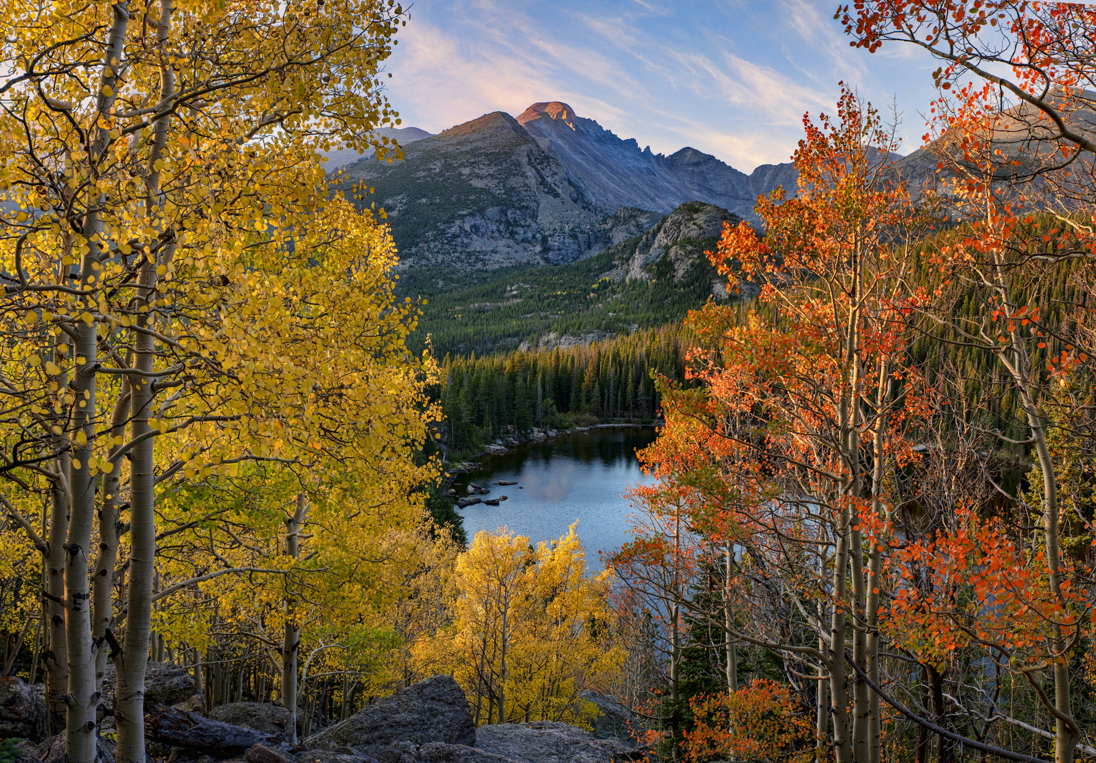 Autumn colors on Aspen trees frame of view of Colorado is Longs Peak with Alpenglow in Rocky Mountain National Park Bear Lake