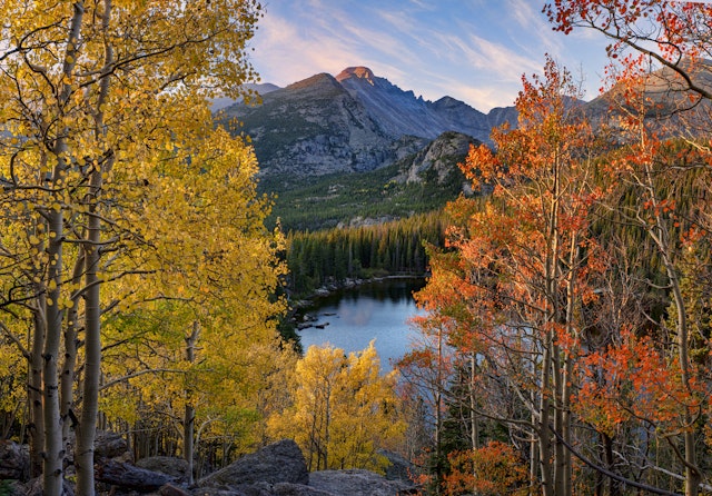 Autumn colors on Aspen trees frame of view of Colorado is Longs Peak with Alpenglow in Rocky Mountain National Park Bear Lake