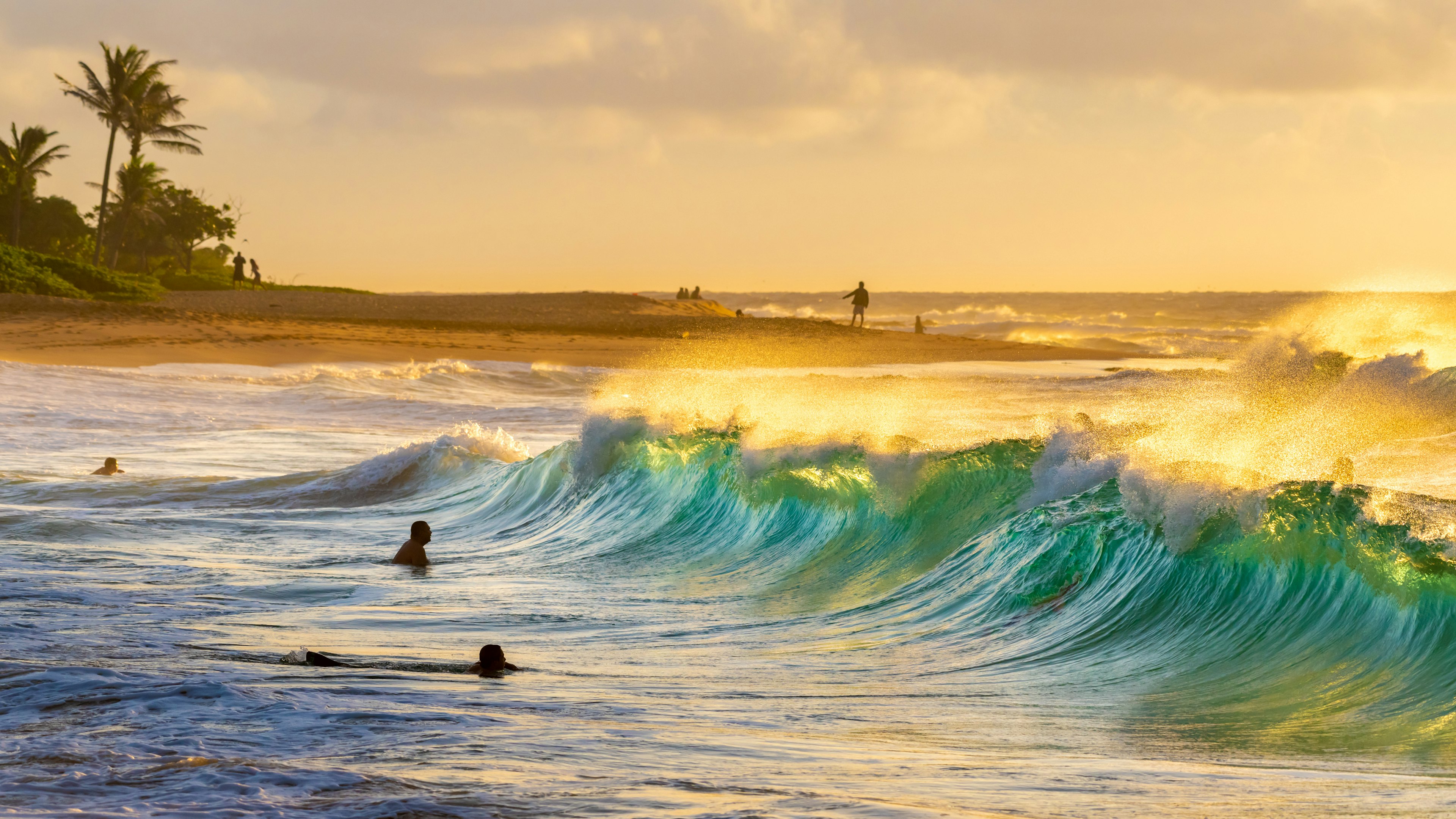 Sandy Beach Park, Honolulu