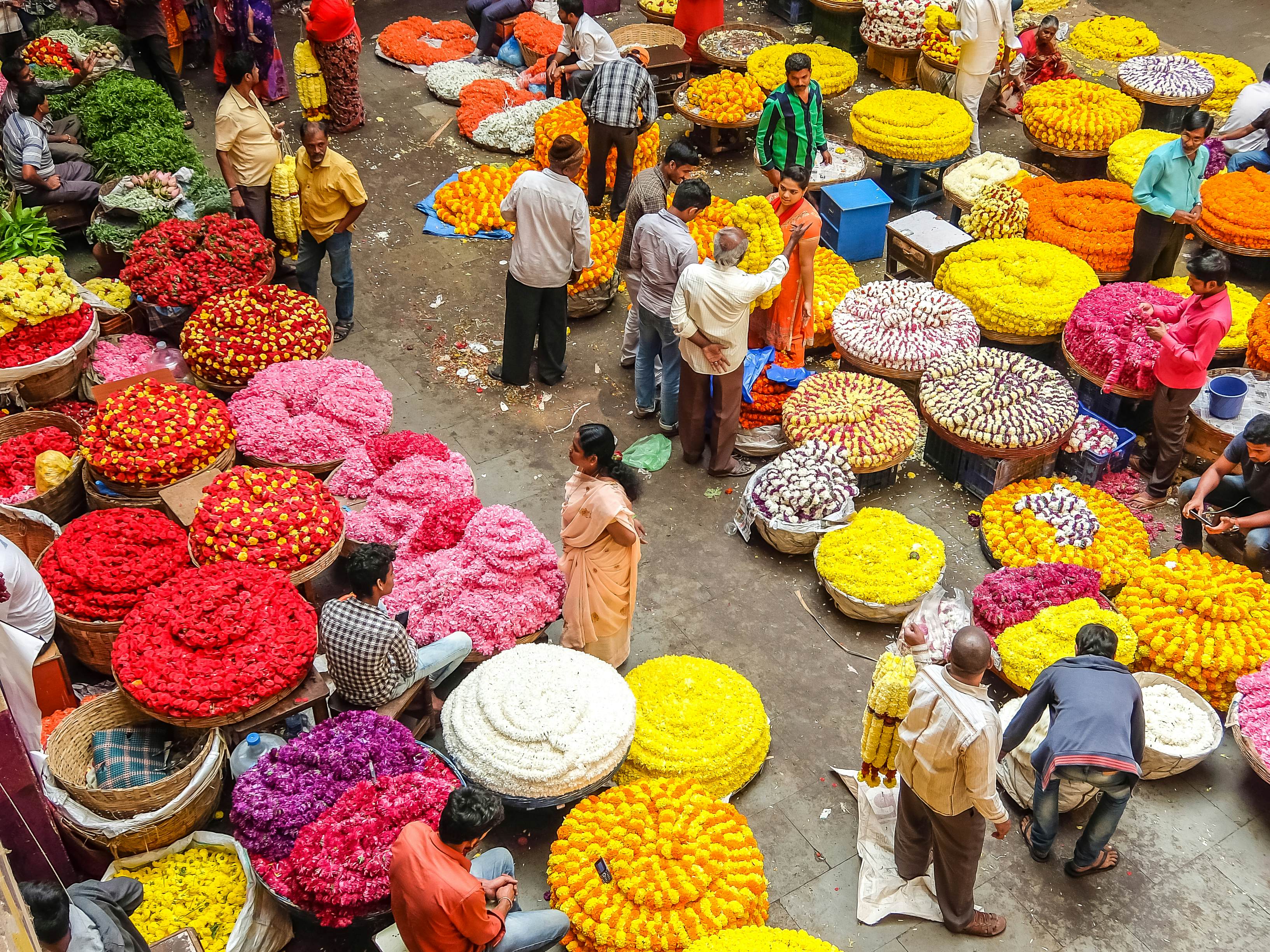 20 things you need to know before you go to India - Lonely Planet