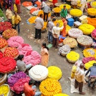 Bangalore, India - Circa January, 2018. Flower sellers and their customers at colorful KR Market in Bangalore., License Type: media, Download Time: 2024-07-23T12:34:16.000Z, User: hannahblackie10, Editorial: true, purchase_order: 56530, job: Global Publishing WIP, client: South India & Kerala 11, other: Hannah Blackie