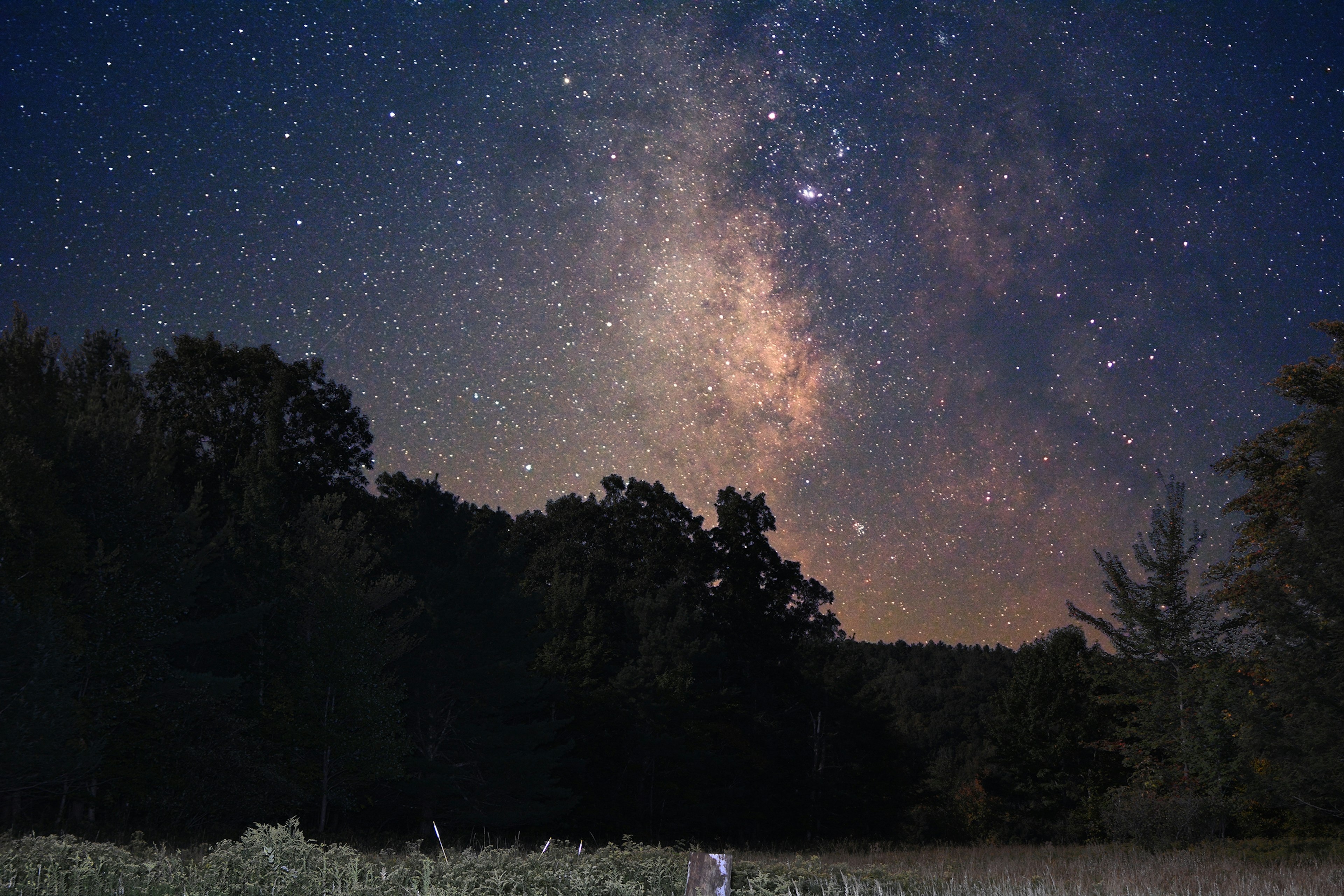 A dark night sky covered with a blanket of sparkling stars in a remote countryside region