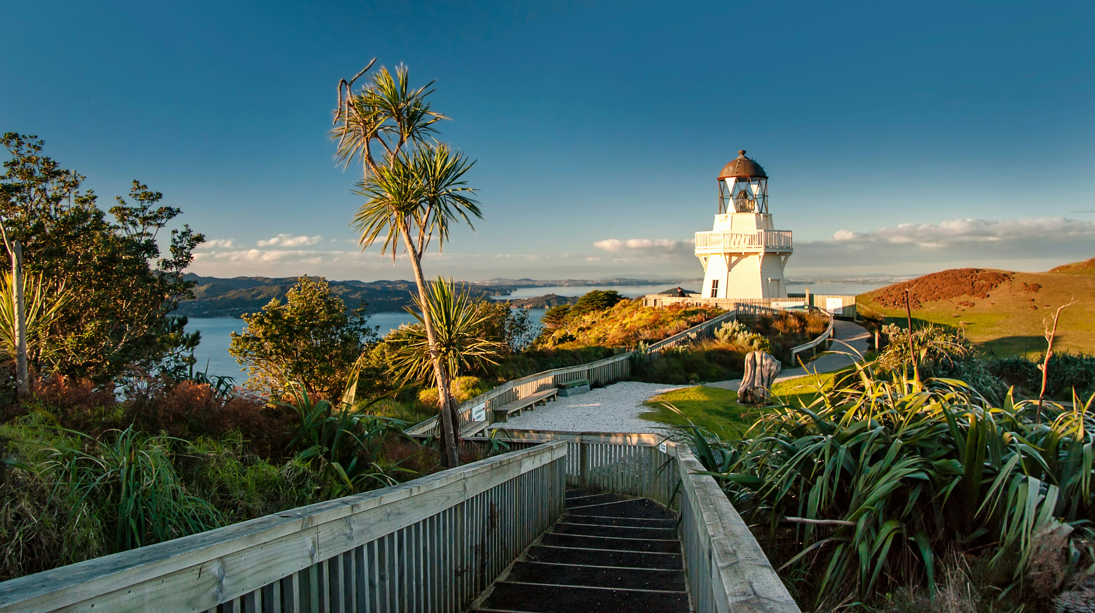 A wooden catwalk leads to the Manukau Heads Lighthouse, with trees and greenery plus a view of the Tasman Sea in the distance