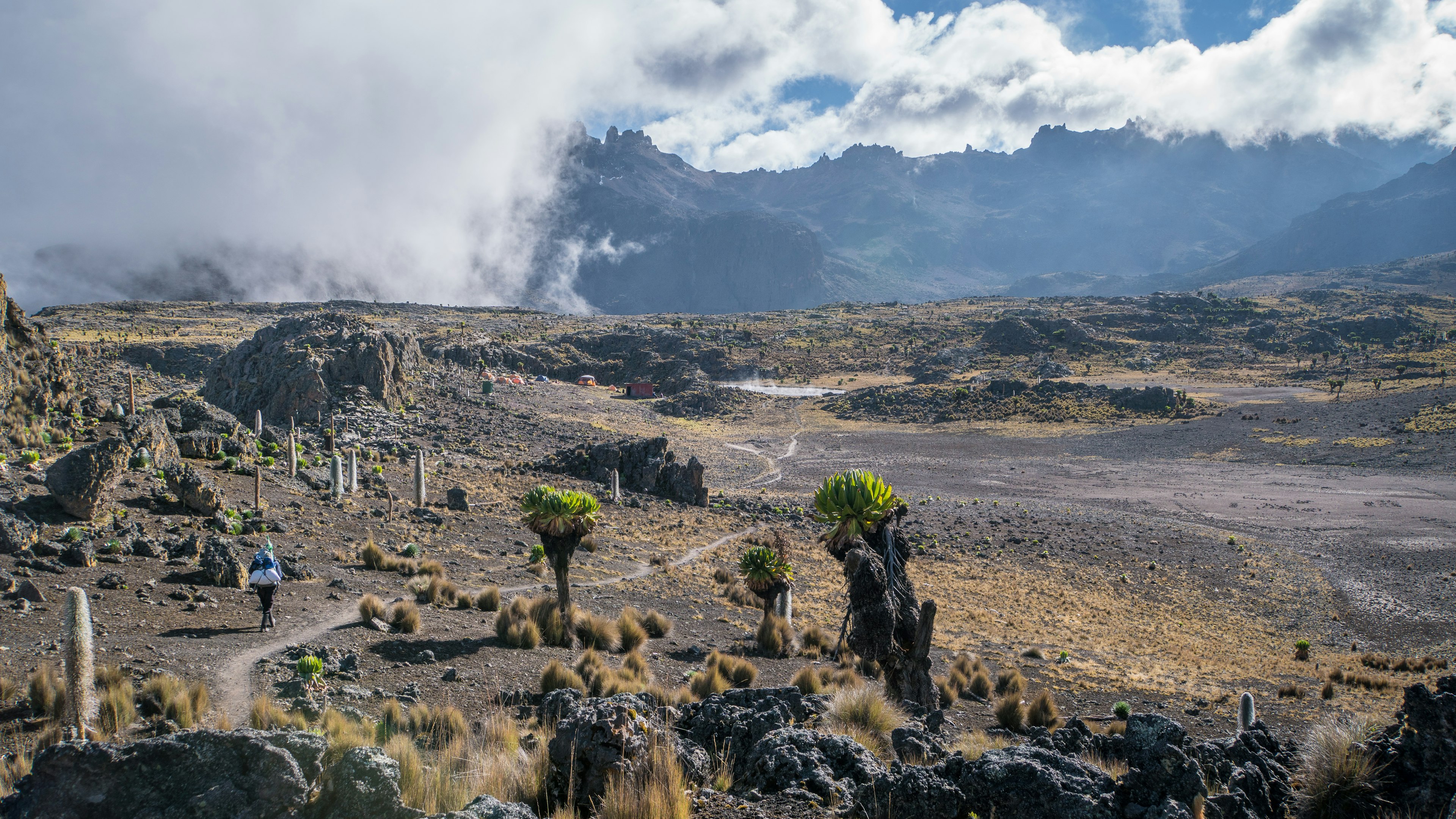 Scenery on Mt Kenya at 4200m above sea level