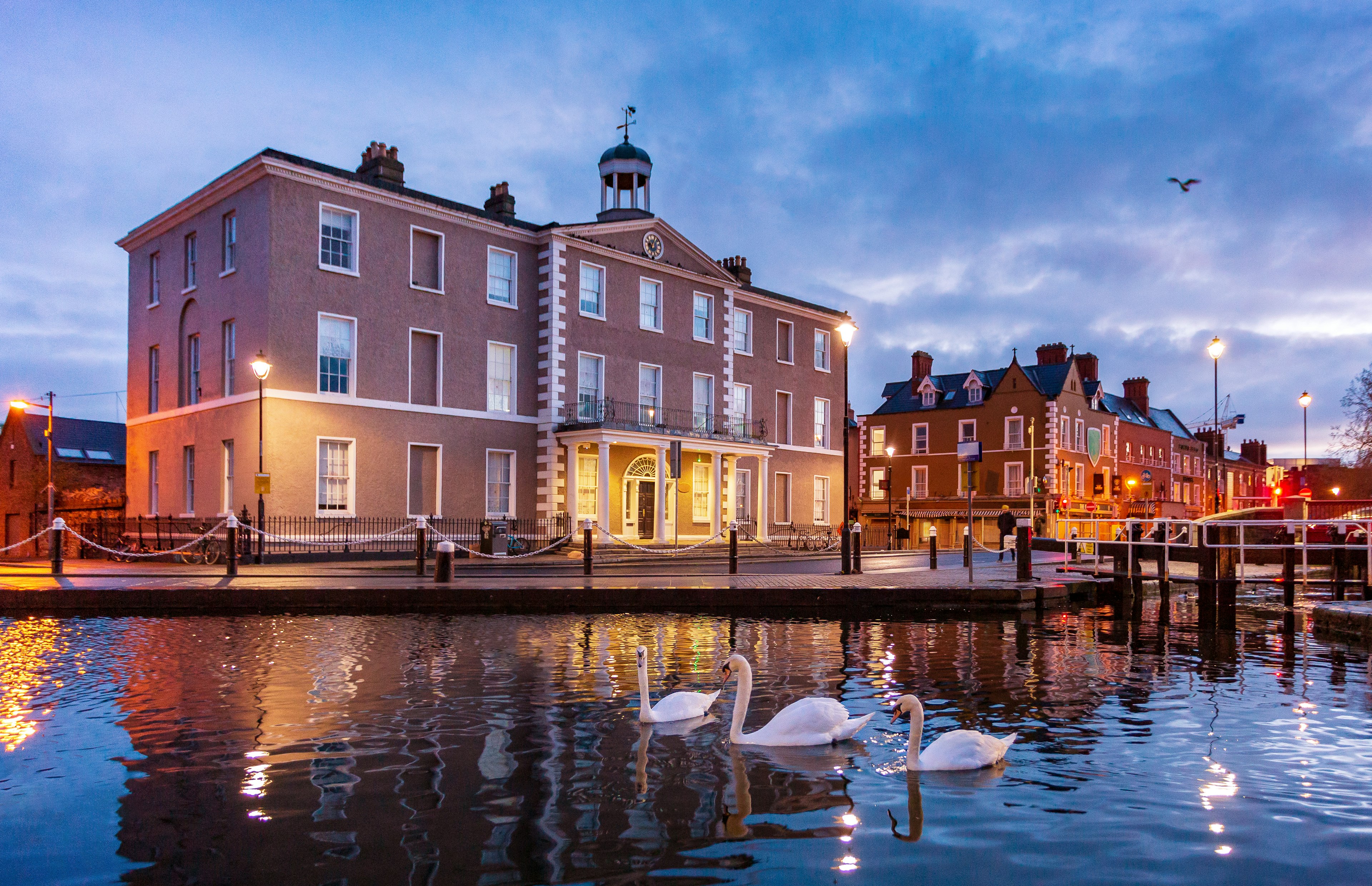 Canal in Portobello, Dublin, with swans at sunrise