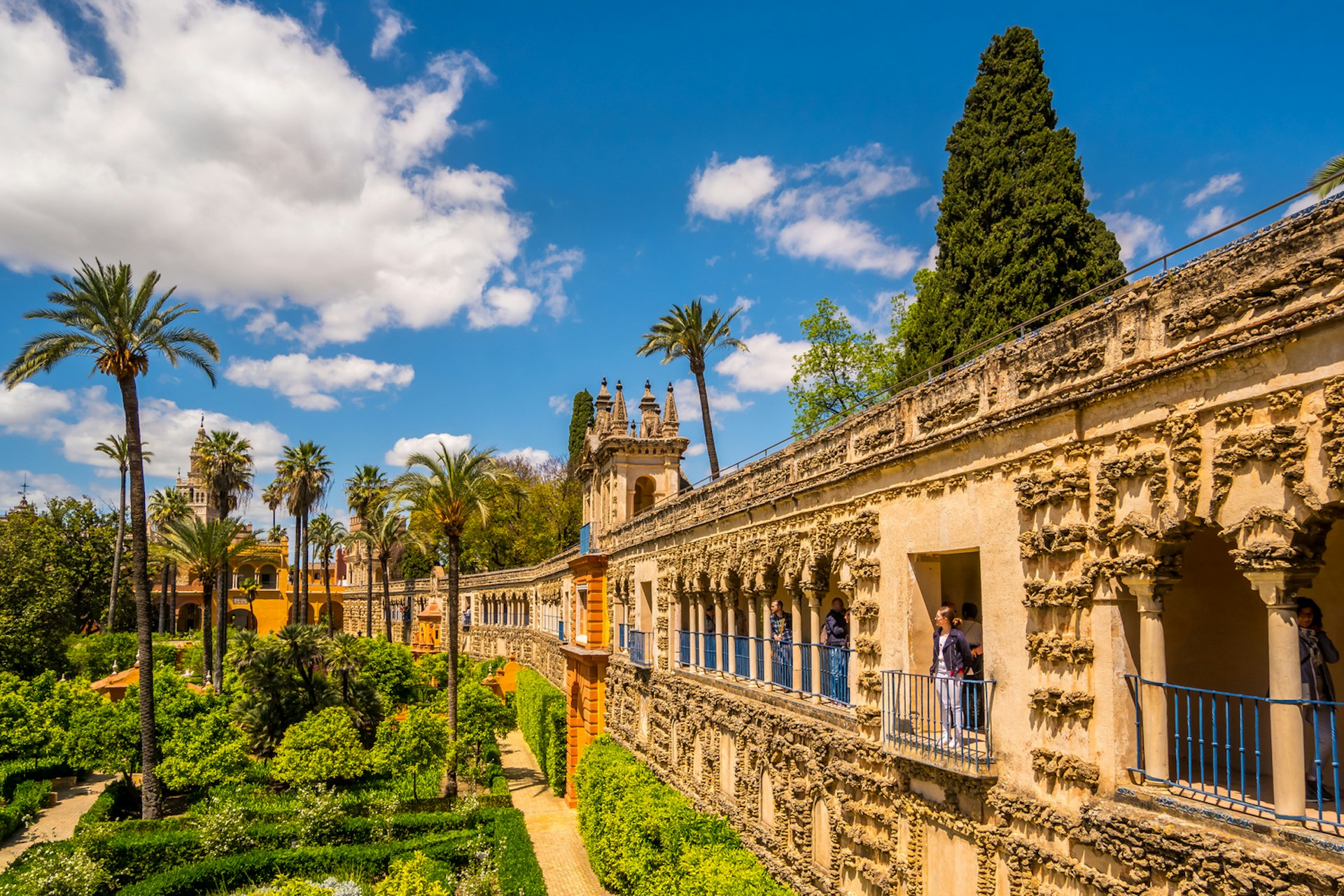 People stand on a vast elevated walkway that overlooks a garden with towering palm trees