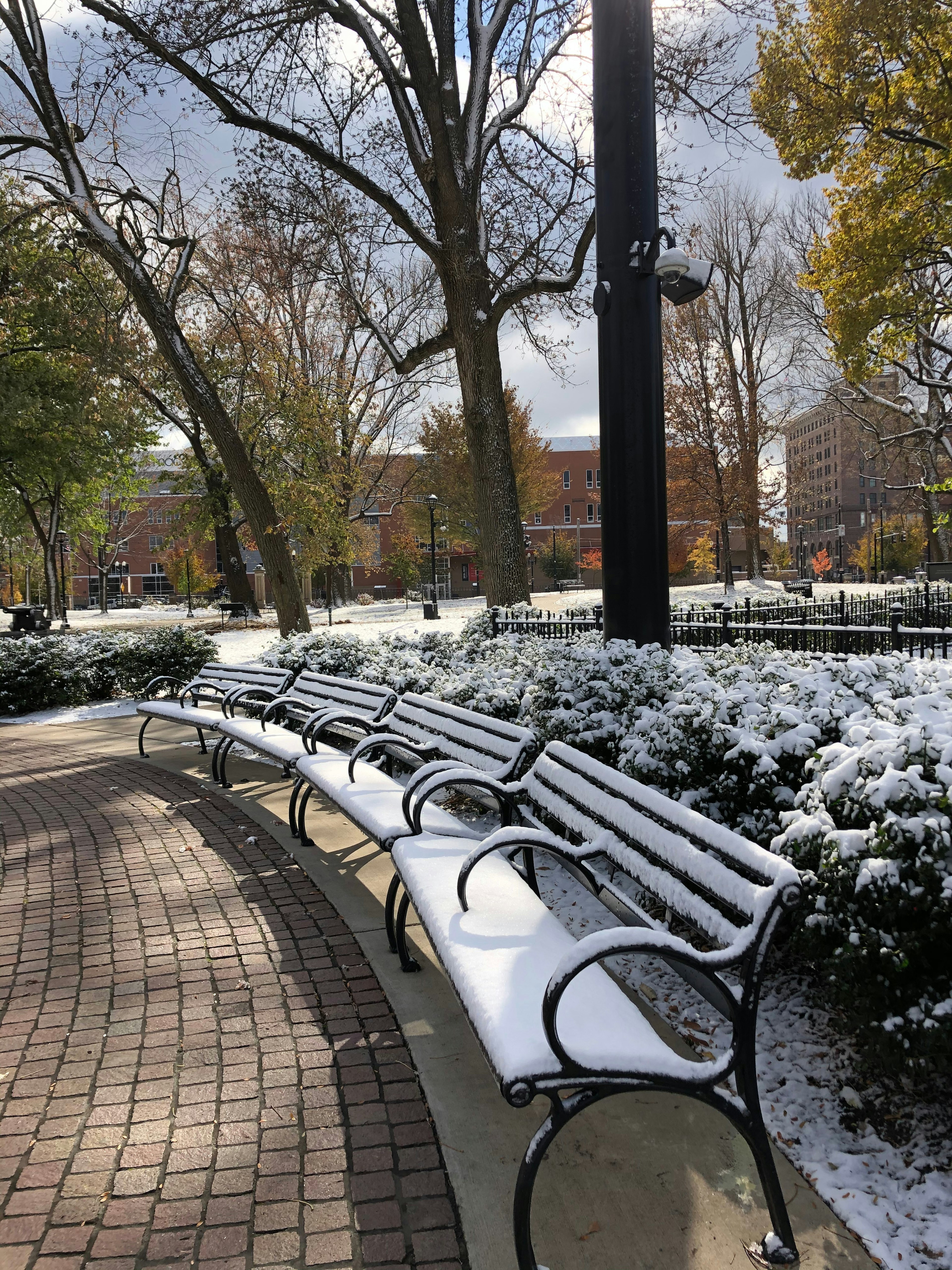 Snow in Washington Park