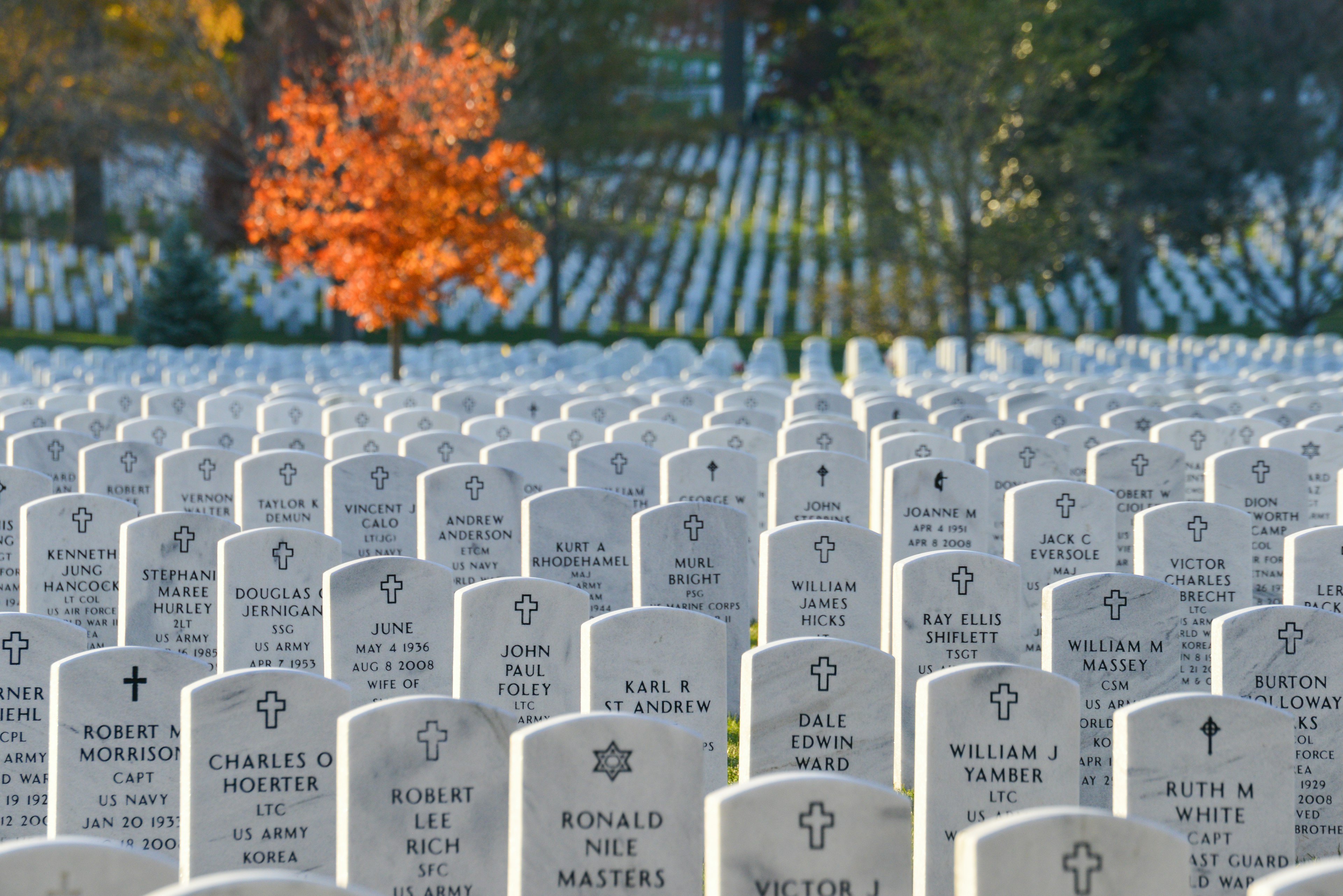 White gravestones of fallen military personnel at Arlington National Cemetery, Virginia, USA