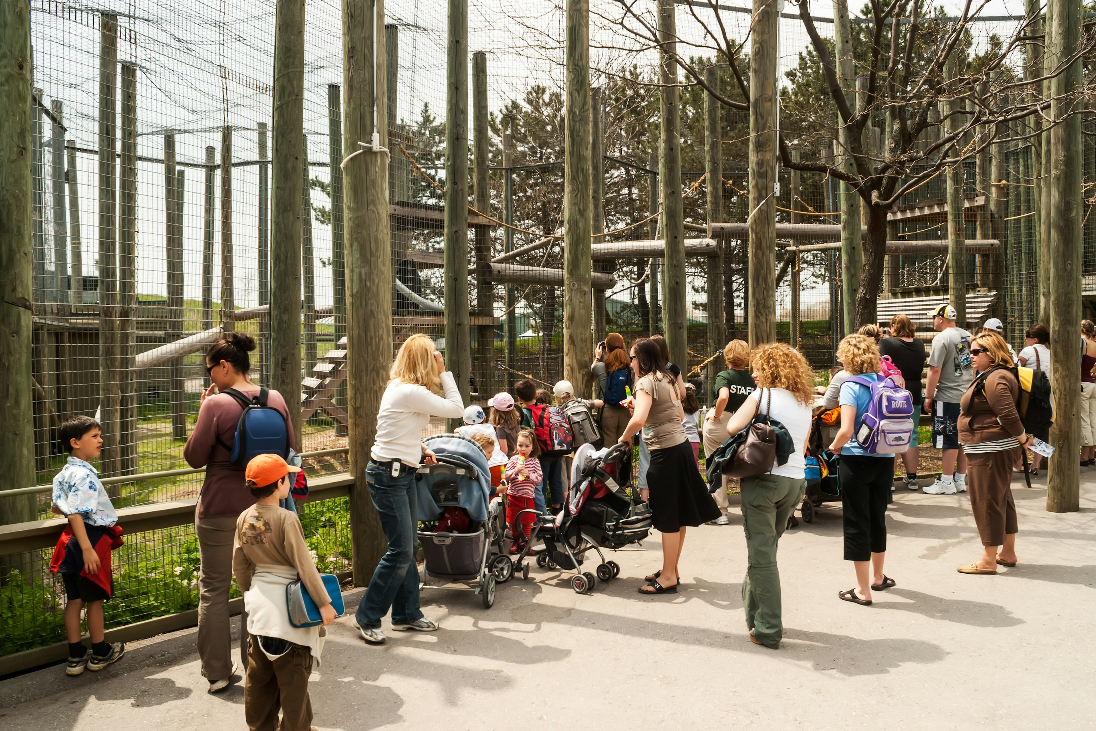 Families at a zoo