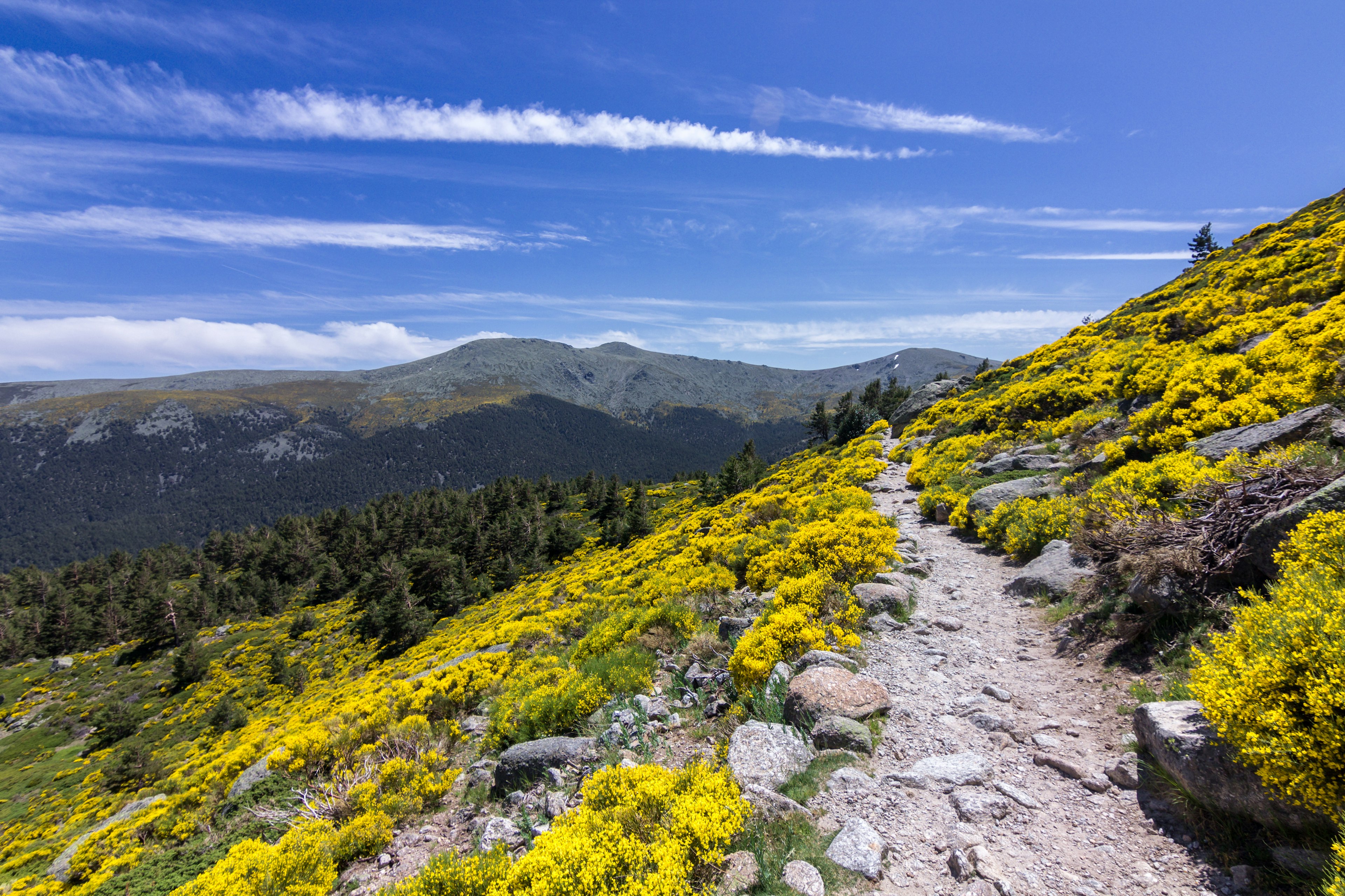 Scenery around Peñalara mountain