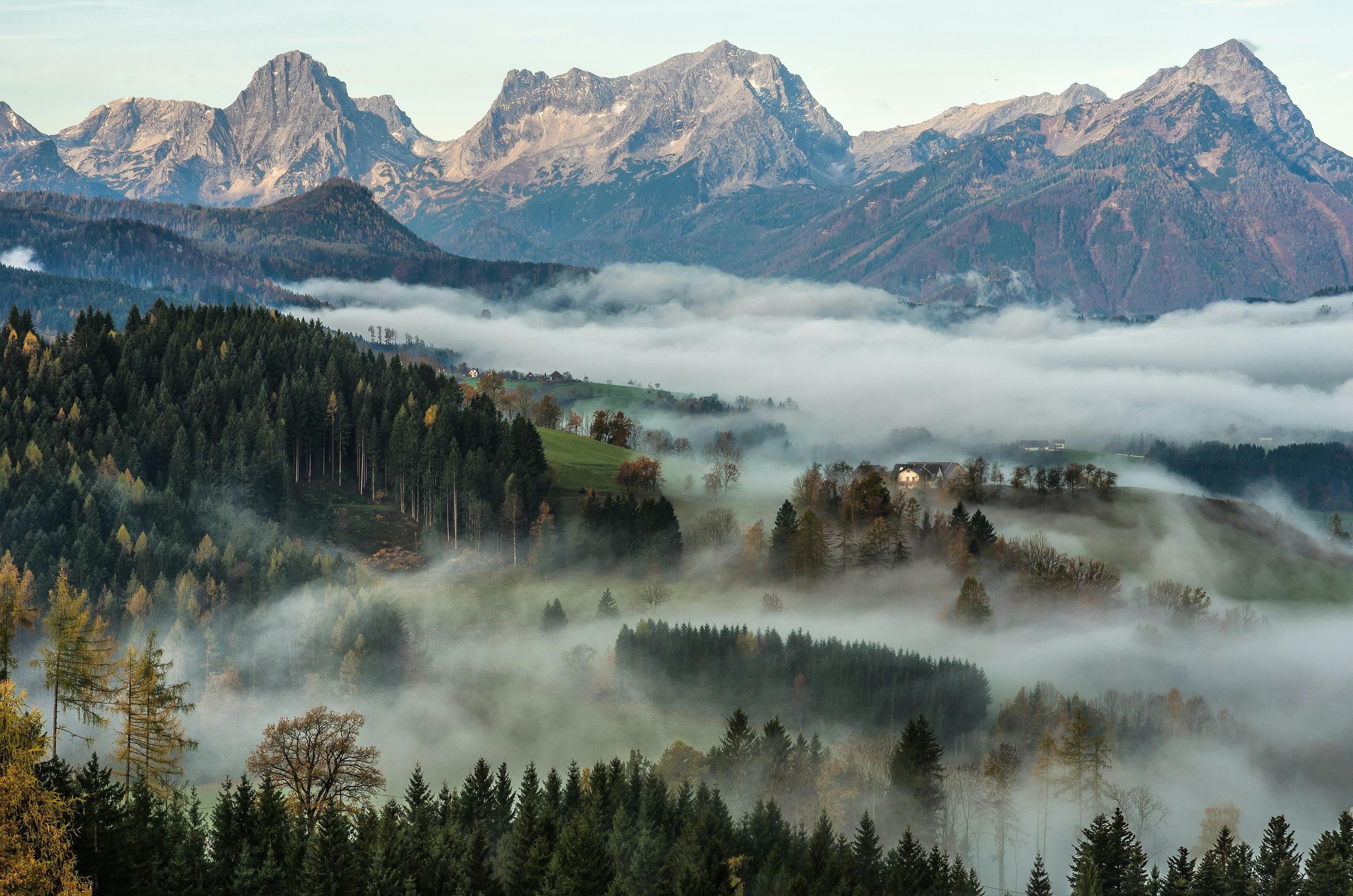 Views over the forests of Kalkalpen National Park