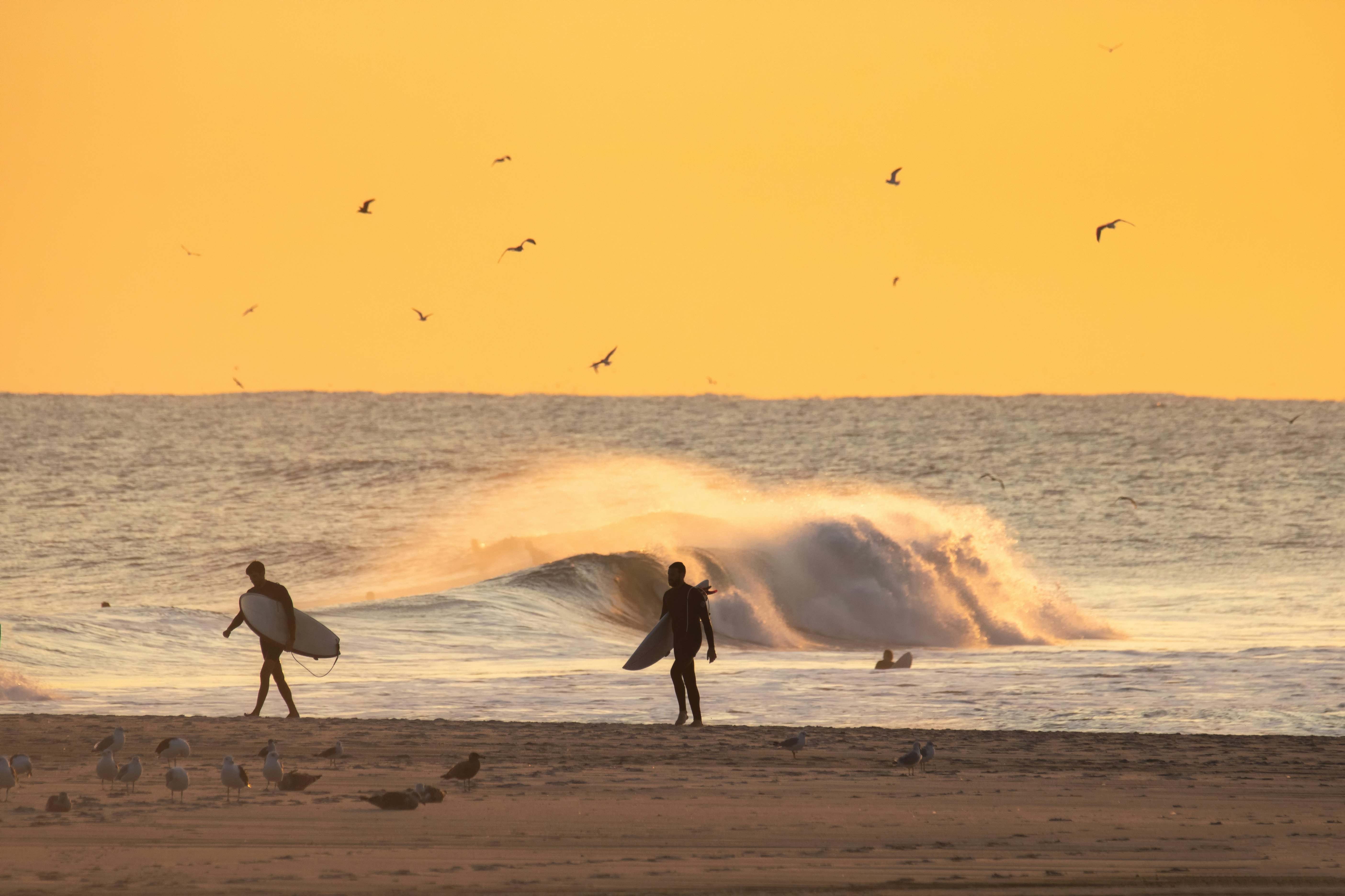 Surfers at Long Beach