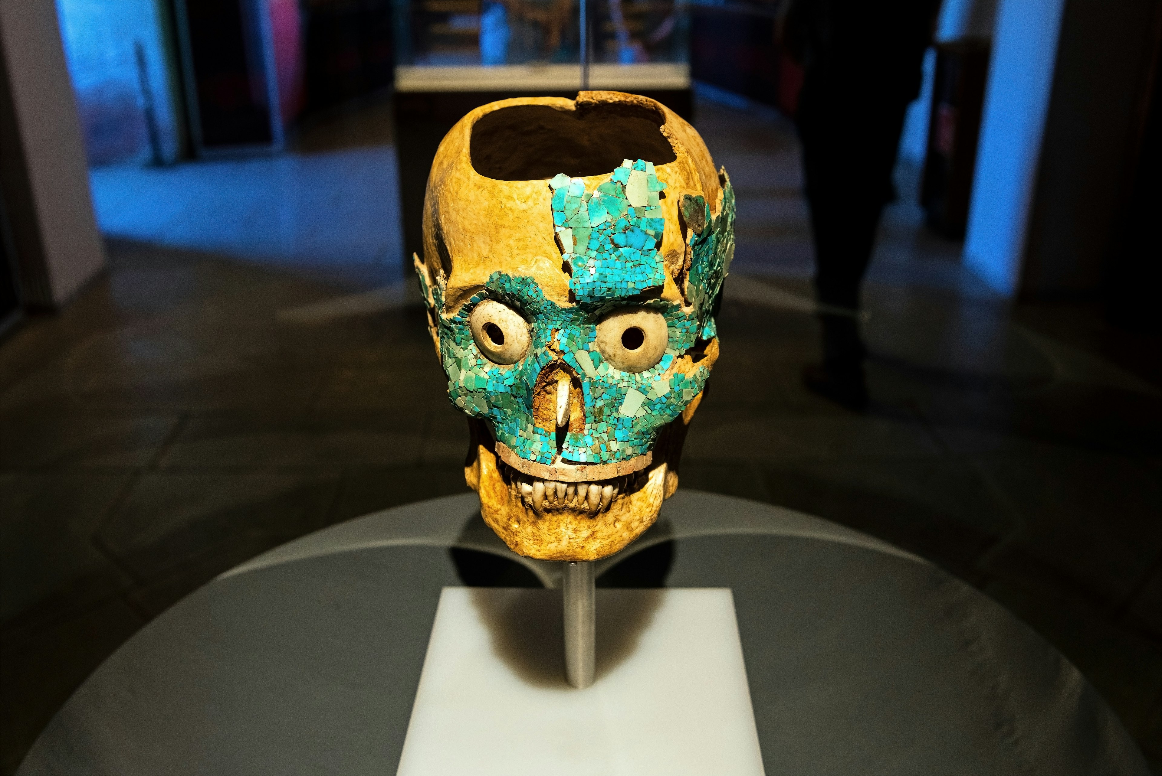 A skull encrusted with turquoise is a death mask of the Zapotec Mixtec civilization. Found in tomb 7 at Monte Albán, it is a highlight of the Museo de las Culturas de Oaxaca.