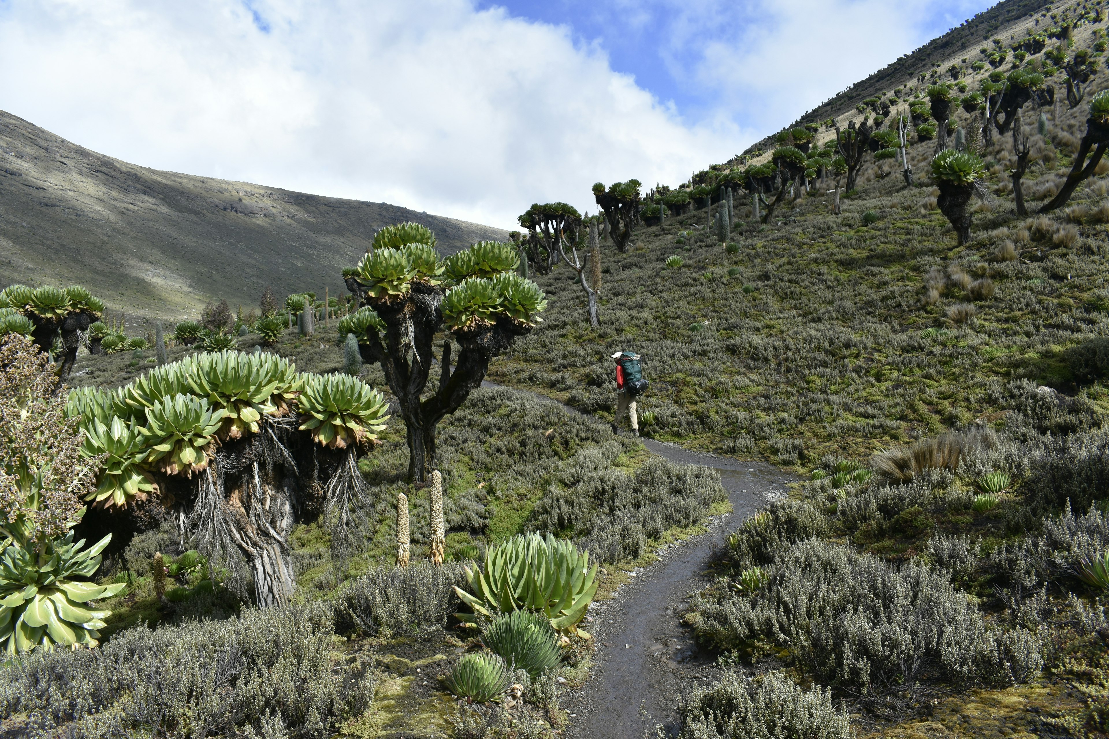 The mountainous landscape on the main route toward the summit of Mount Kenya