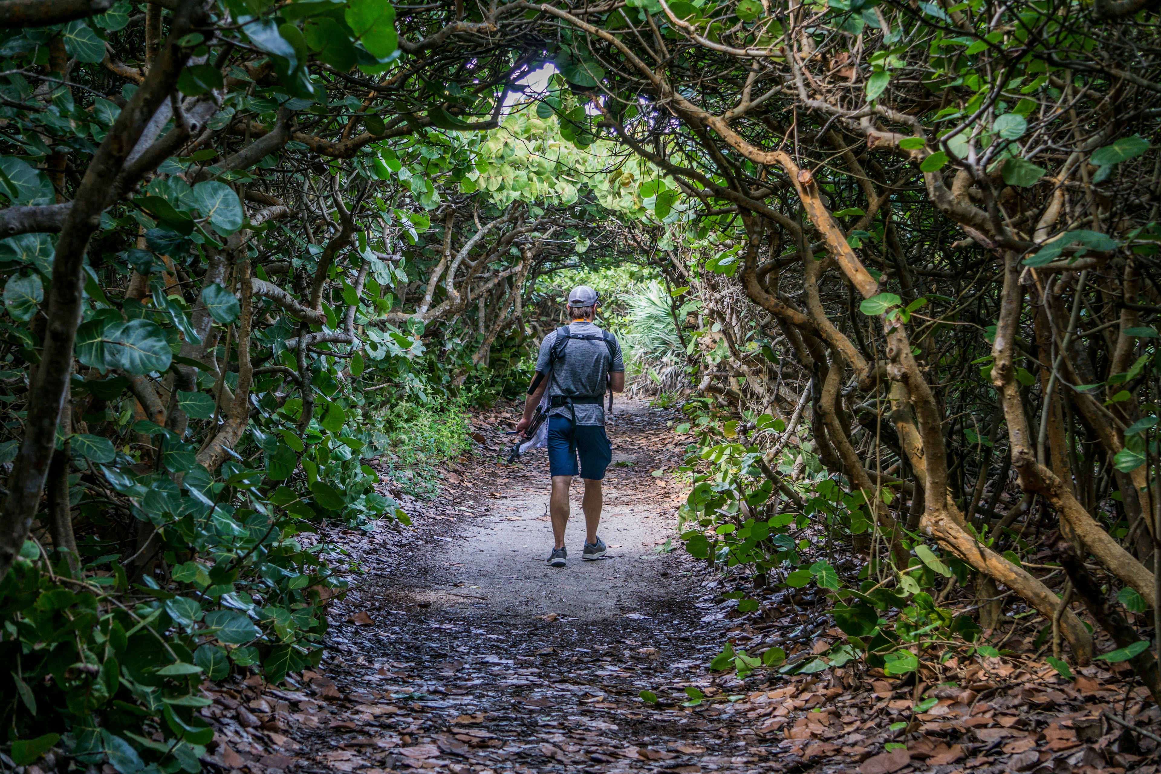 The shade of the mangroves on the hike through the Florida Trail