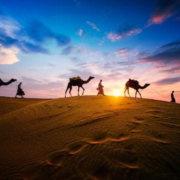 Camel drivers and camels silhouetted against the sunset at dusk in the desert.