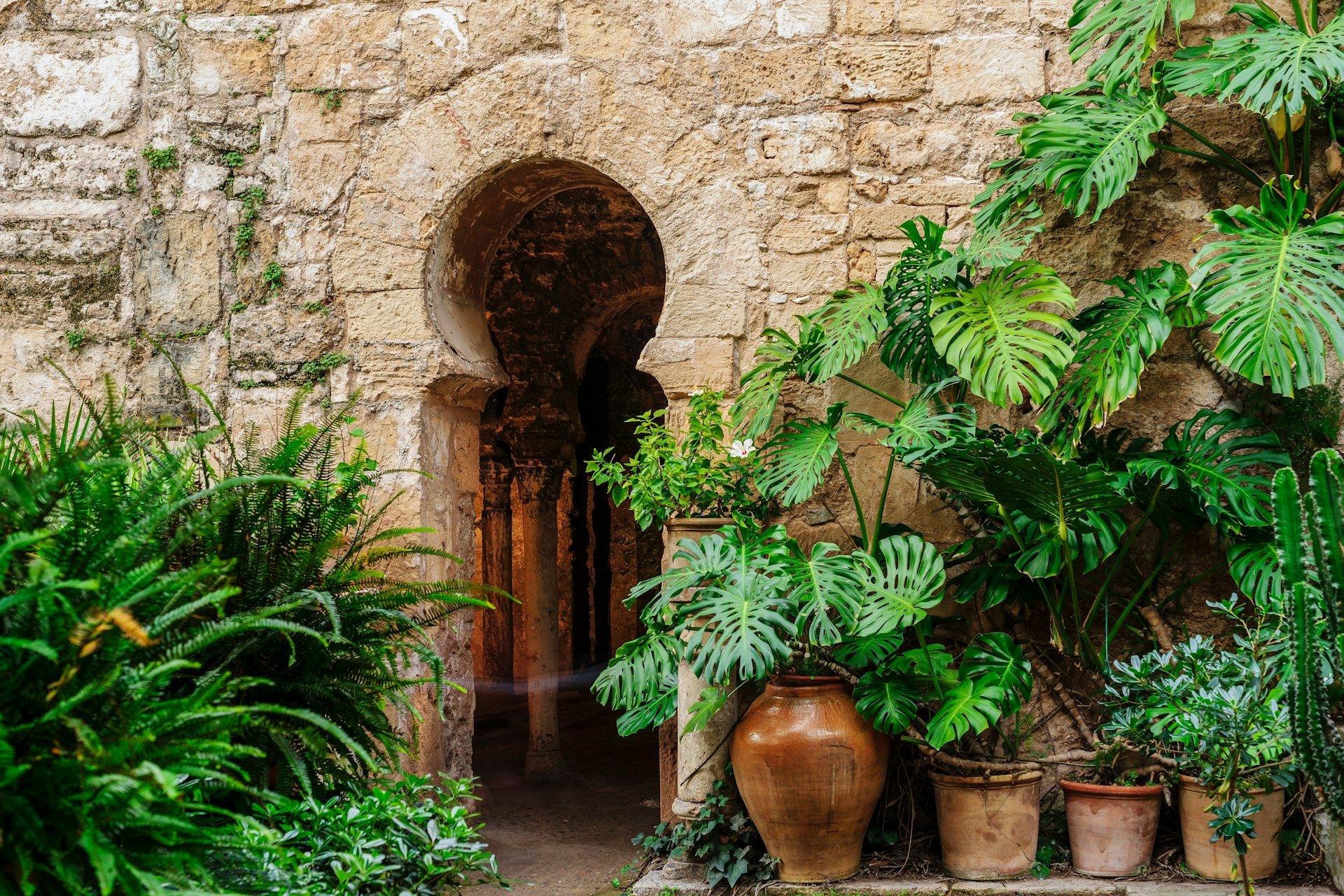 A lush plant grows up over a wall with a Moorish door opening into baths. 