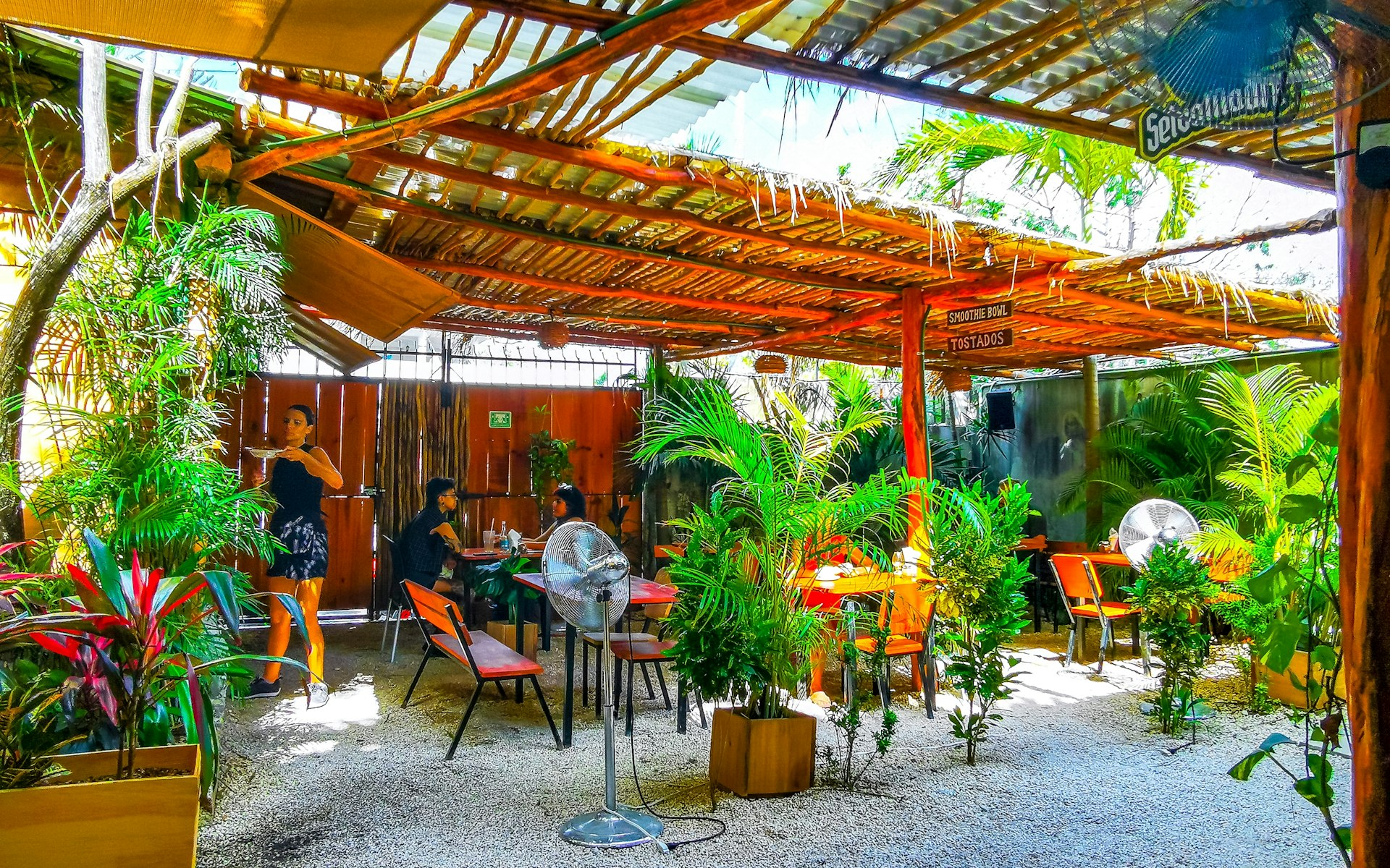 Interior of a restaurant with lots of plants and wood accents, Playa del Carmen, Mexico