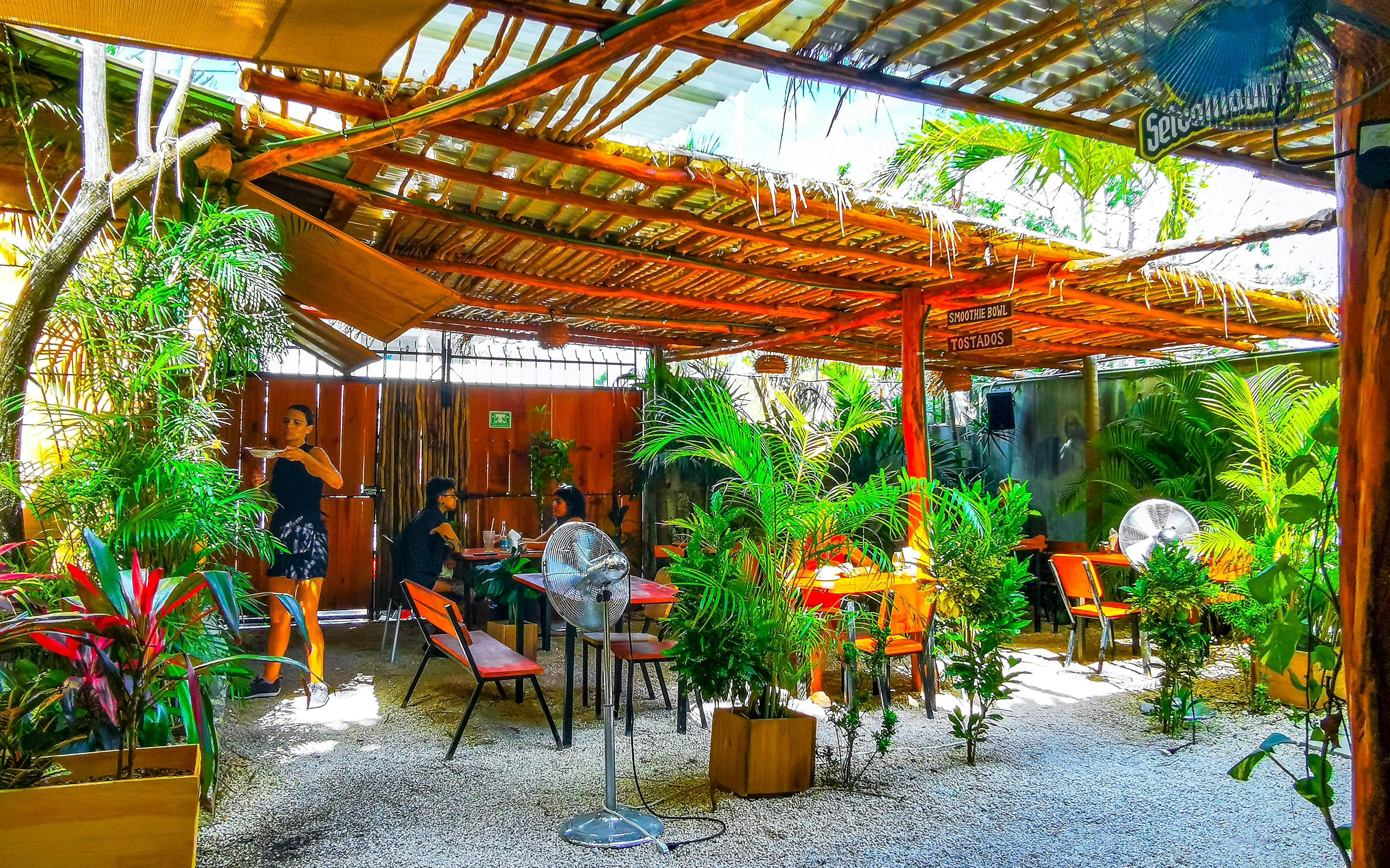 Interior of a restaurant with lots of plants and wood accents, Playa del Carmen, Mexico