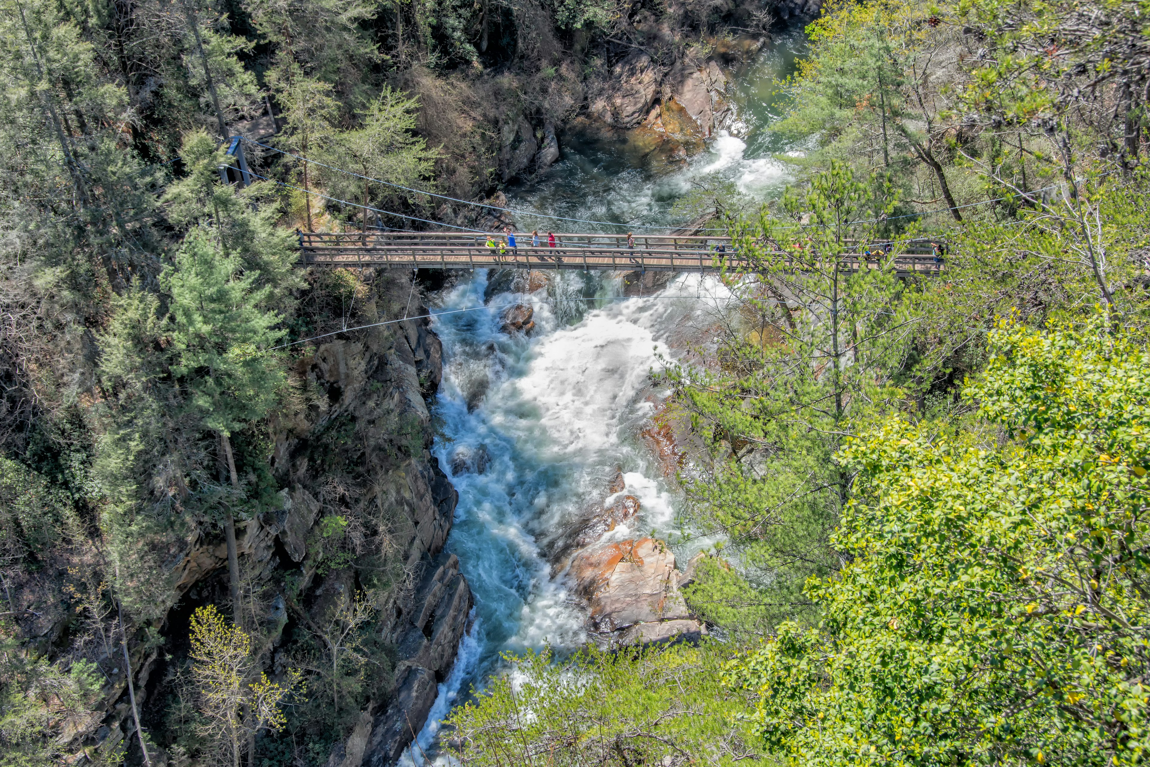 White water pours down Hurricane Falls, with hikers observing the torrent from a suspension bridge over Tallulah Gorge