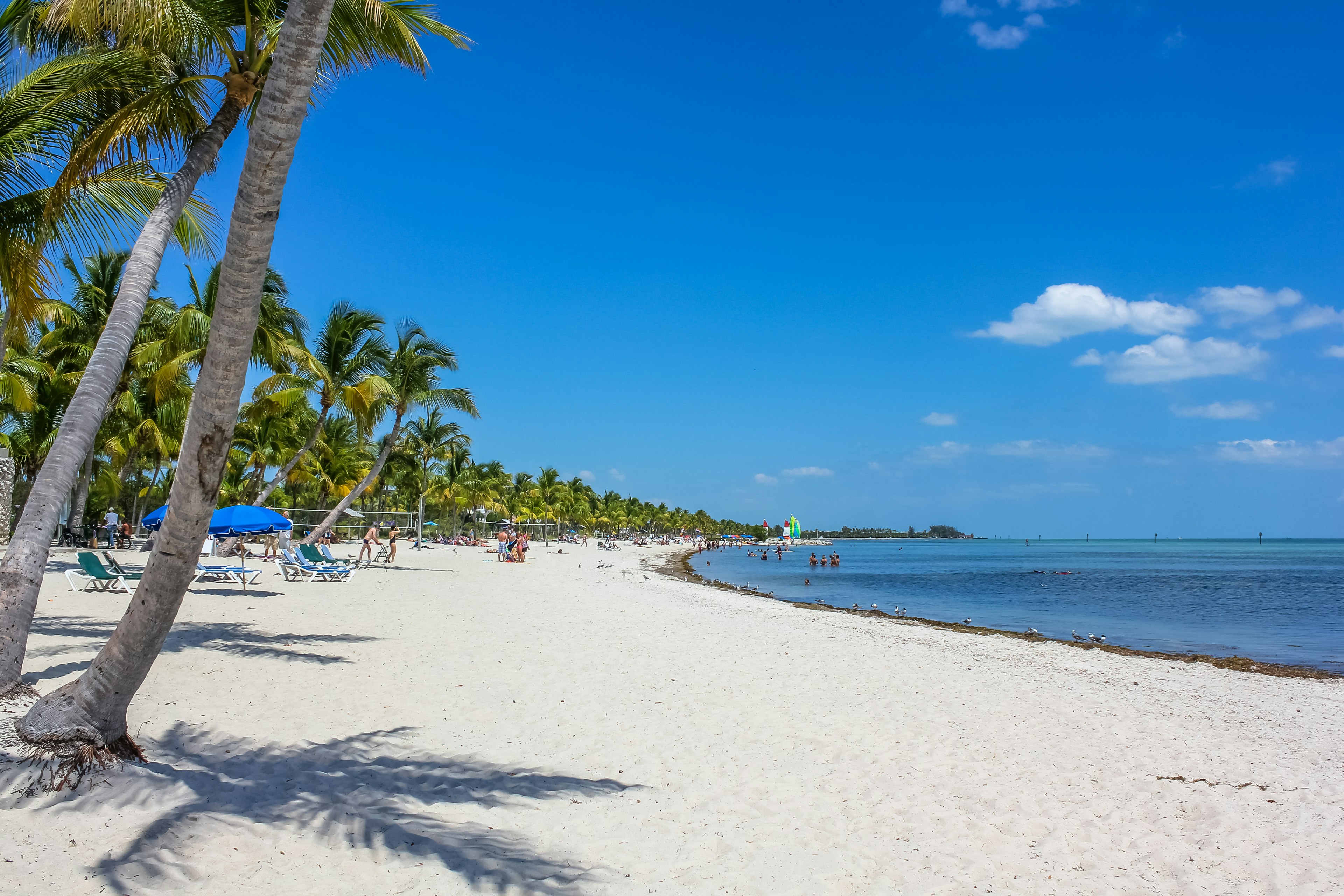 A white-sand beach with umbrellas and beachgoers