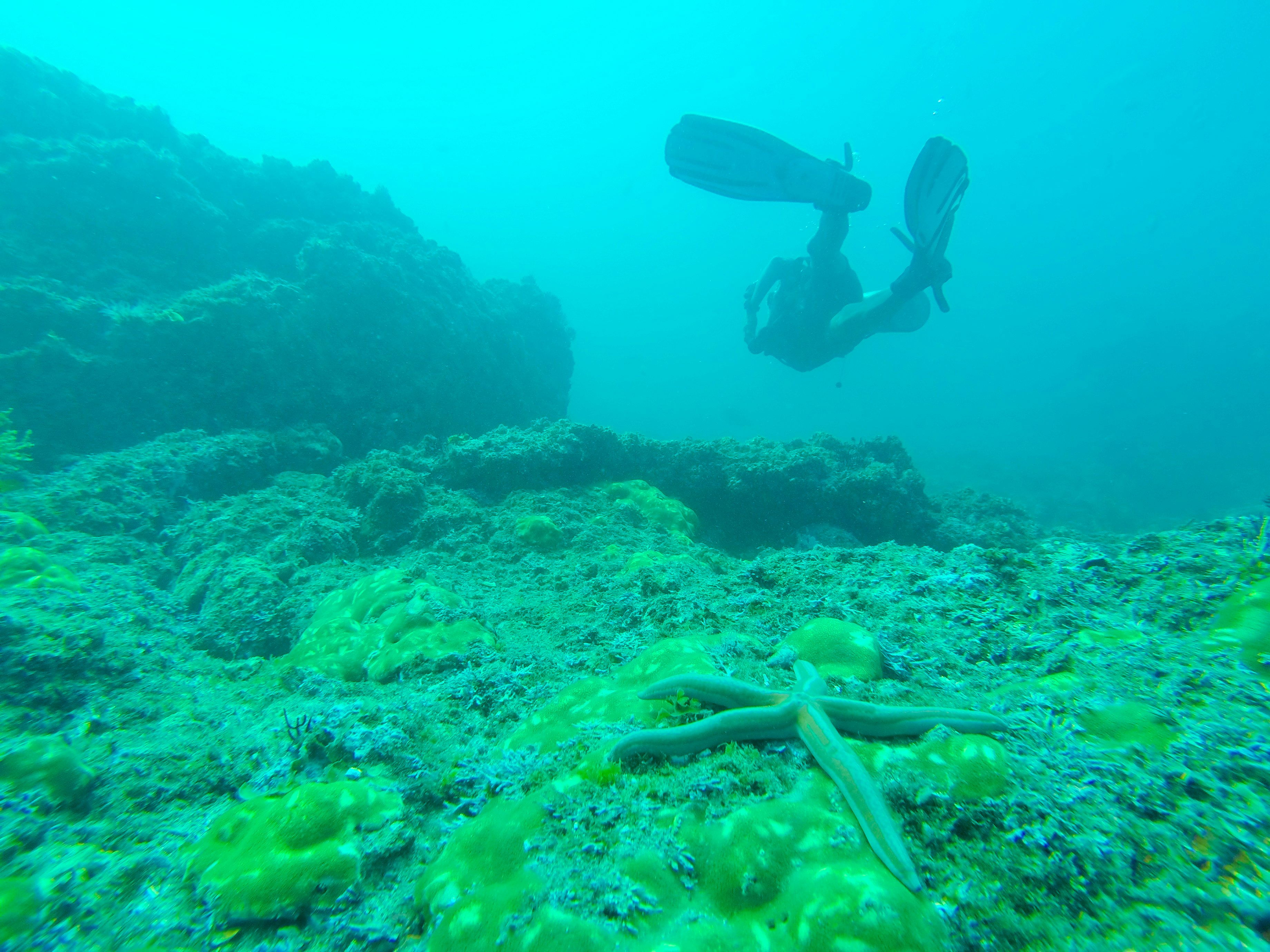 A diver and starfish in Los Arcos Marine National Park, Mexico.