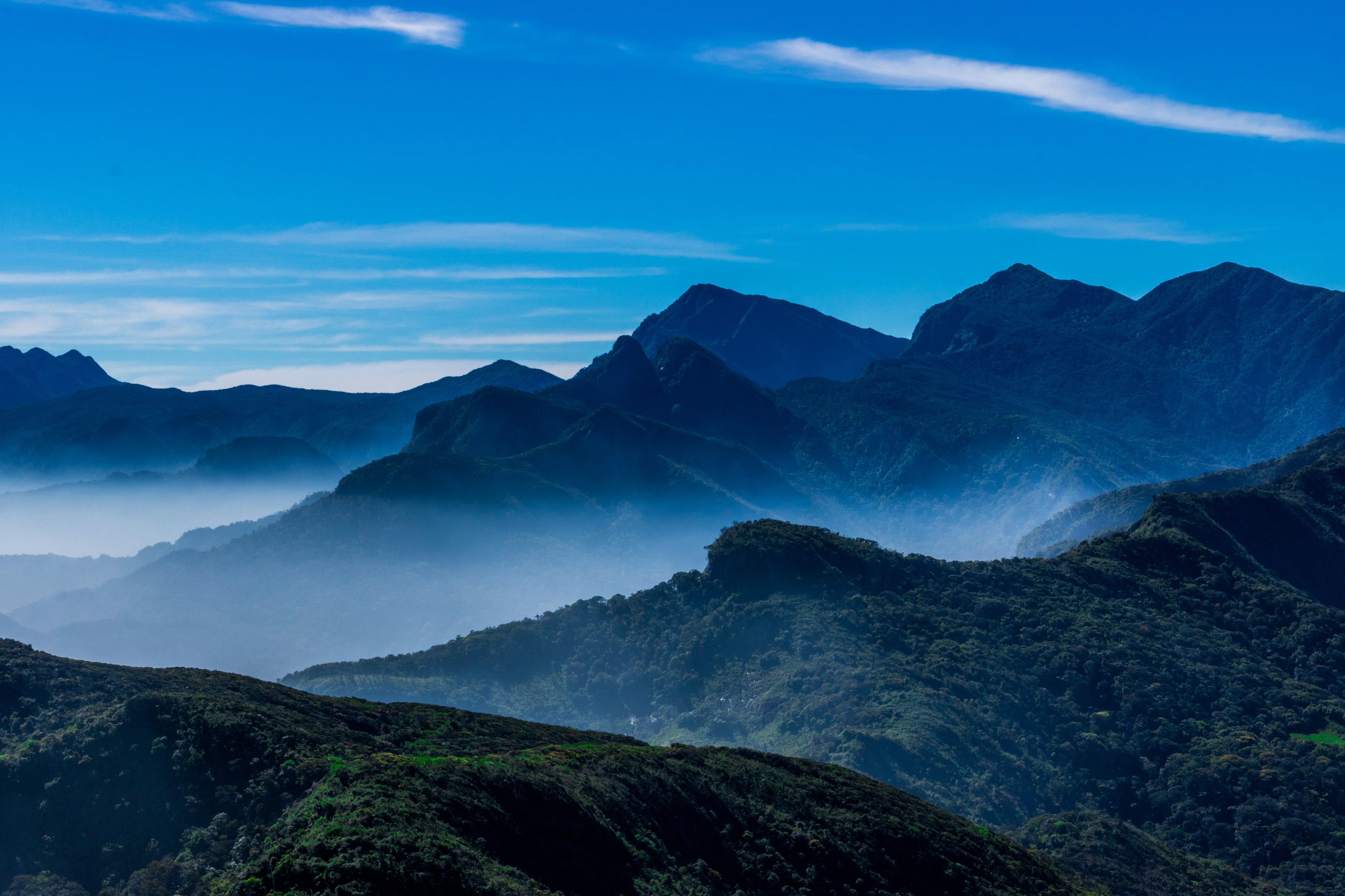 Mountain ridges in the Knuckles Range