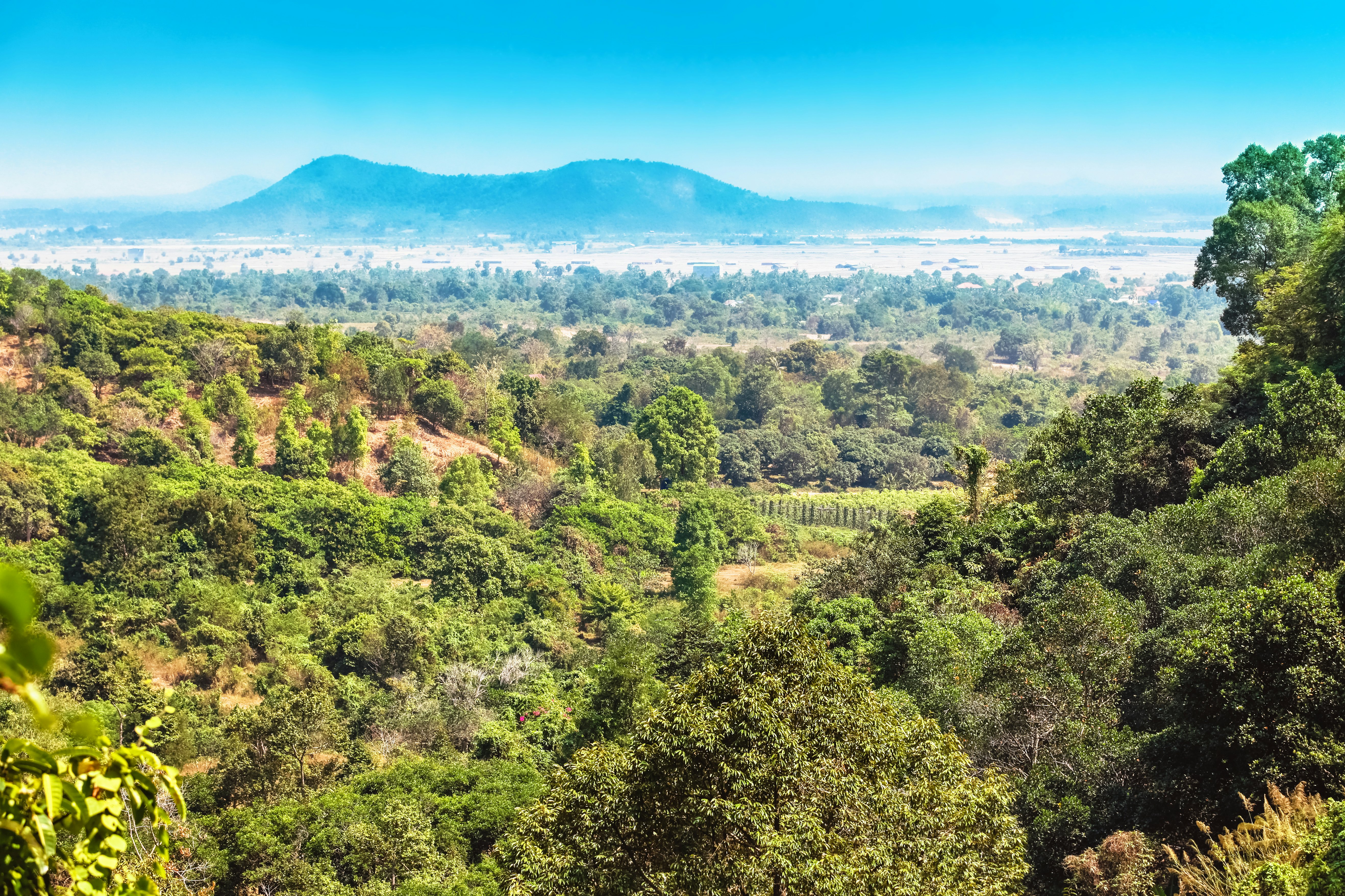 A green valley in a national park in Cambodia; a mountain silhouette is in the background.