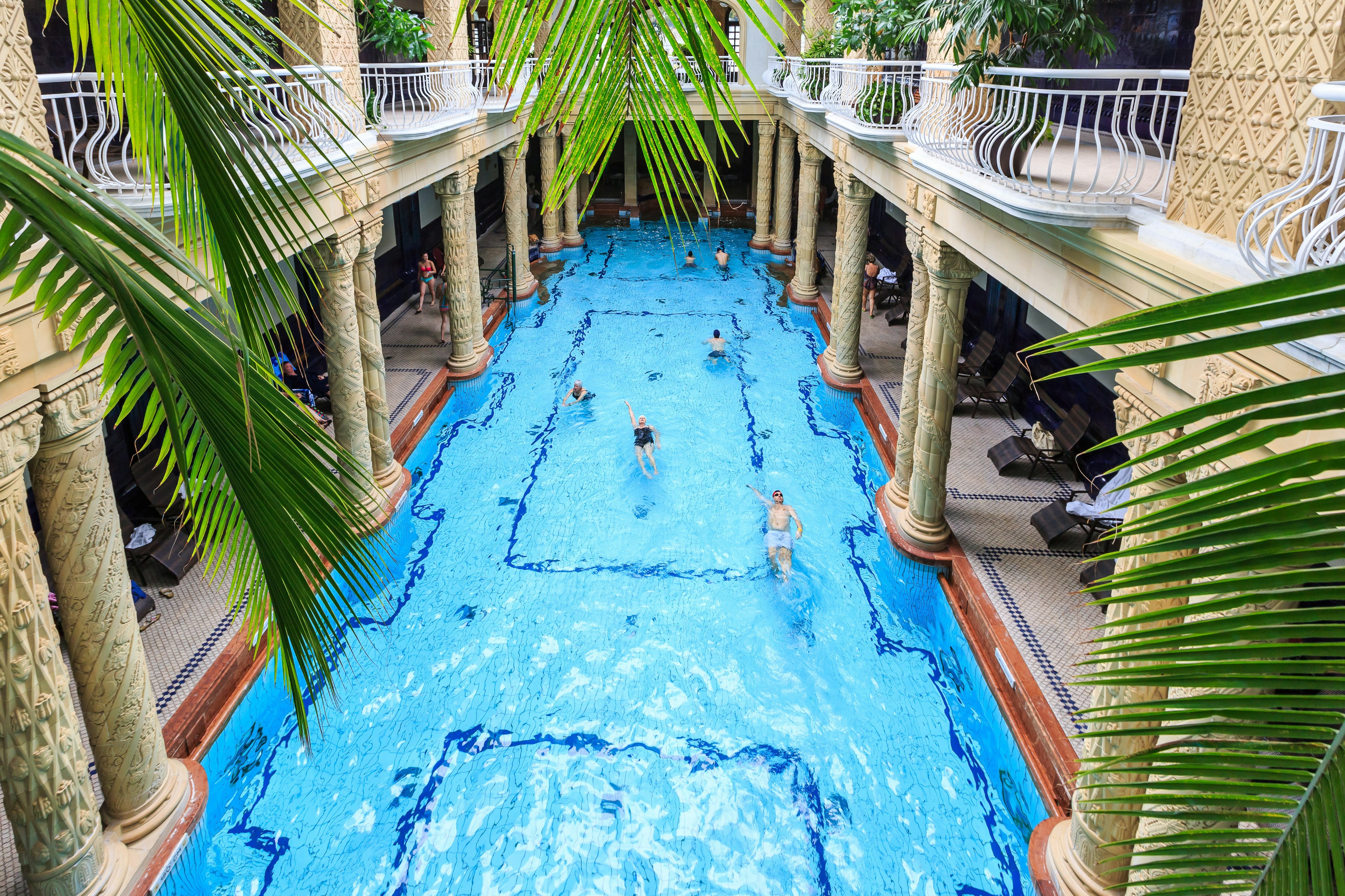 Swimmers inside the Gellert Baths in Budapest, with a blue pool and green foliage