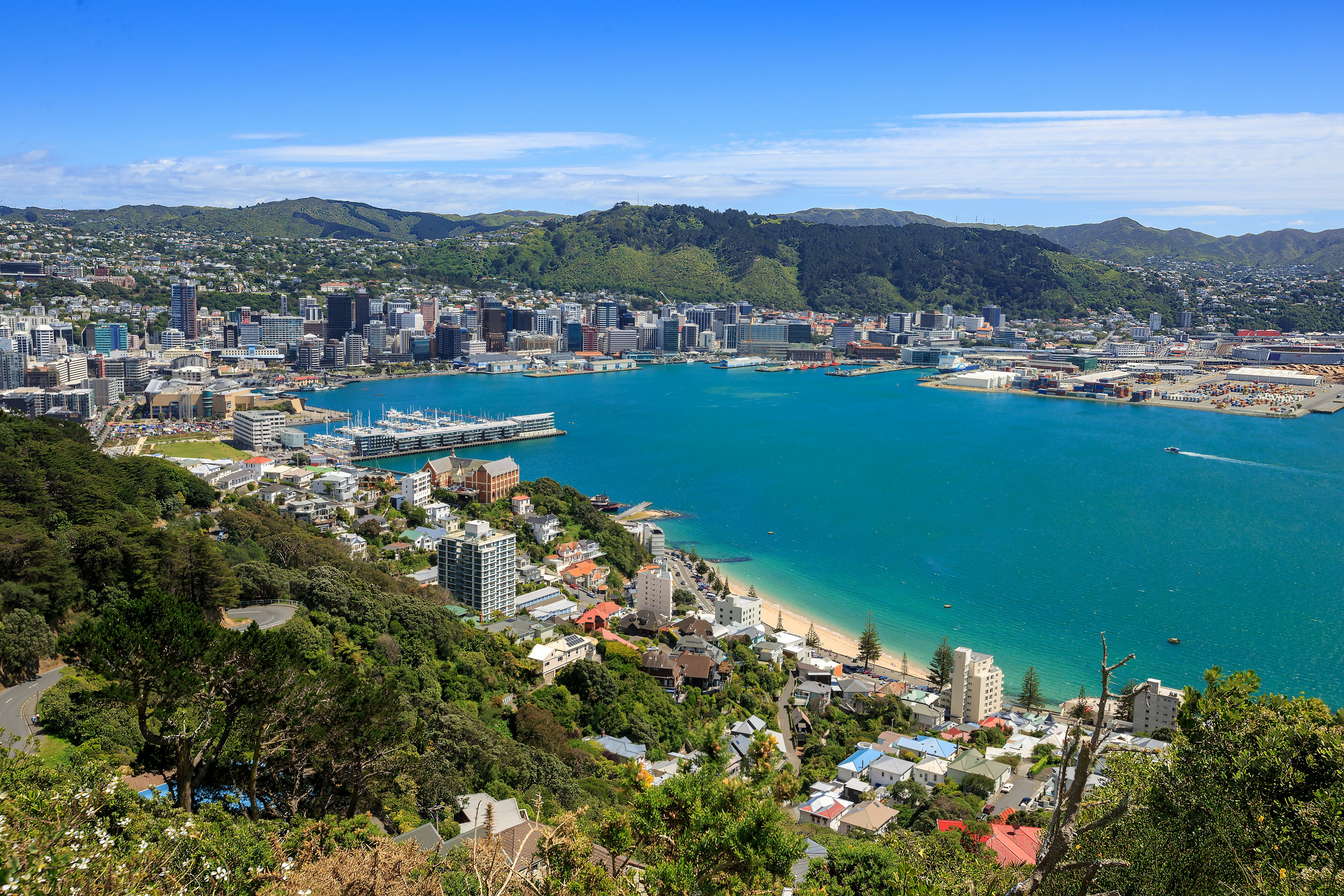 High-angle view of Wellington City harbor and downtown