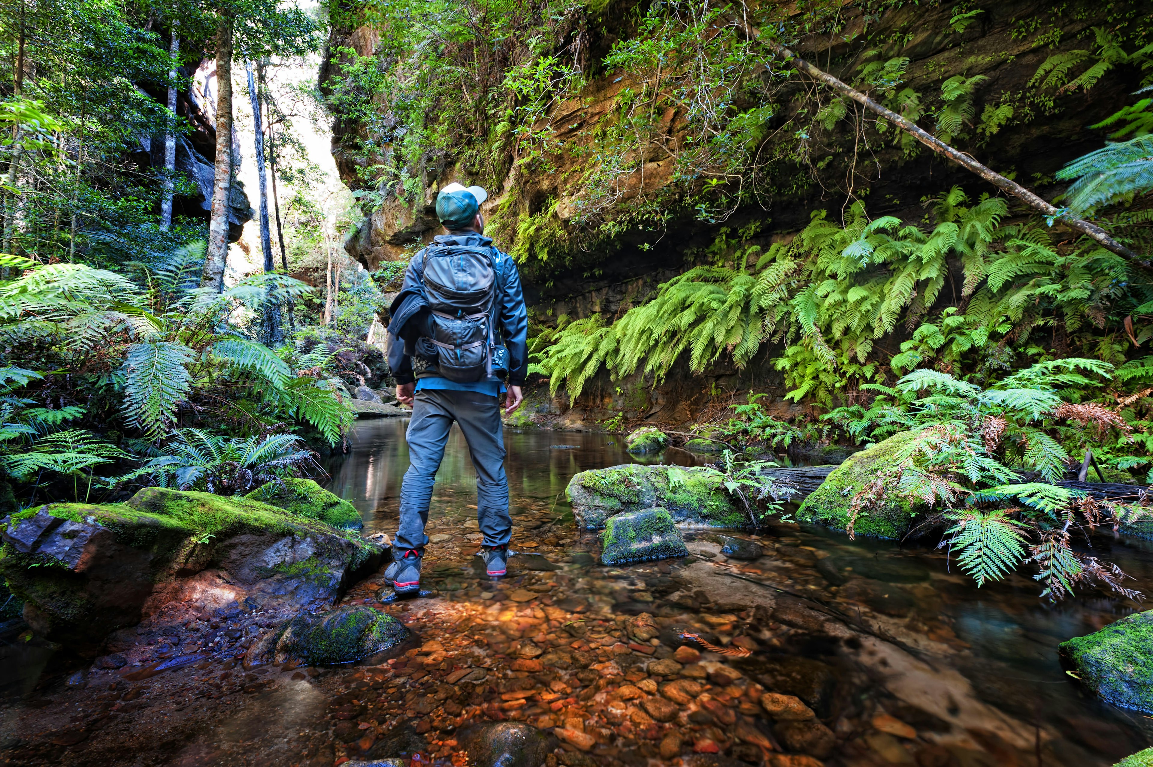 Image of a man standing at Grand Canyon track in the Blue Mountains, Sydney, NSW.jpg