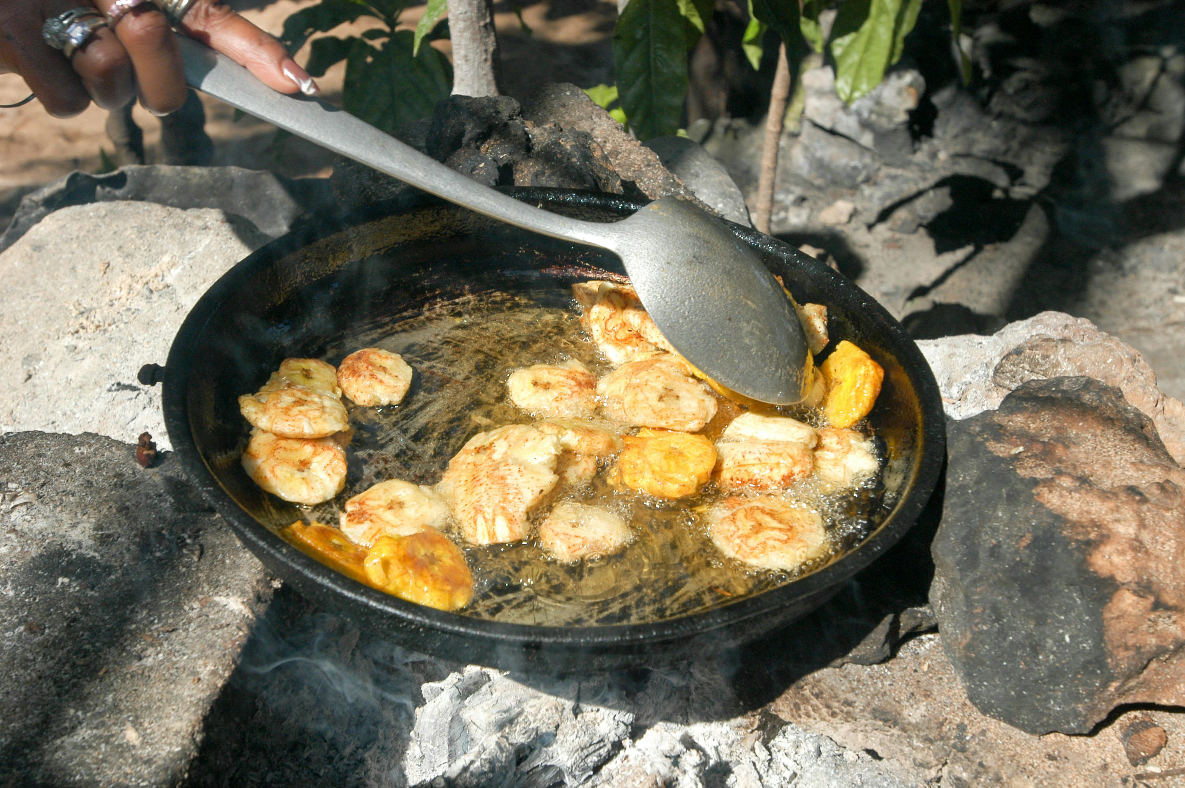 Platones are fried bananas a speciality of Dominican Republic food