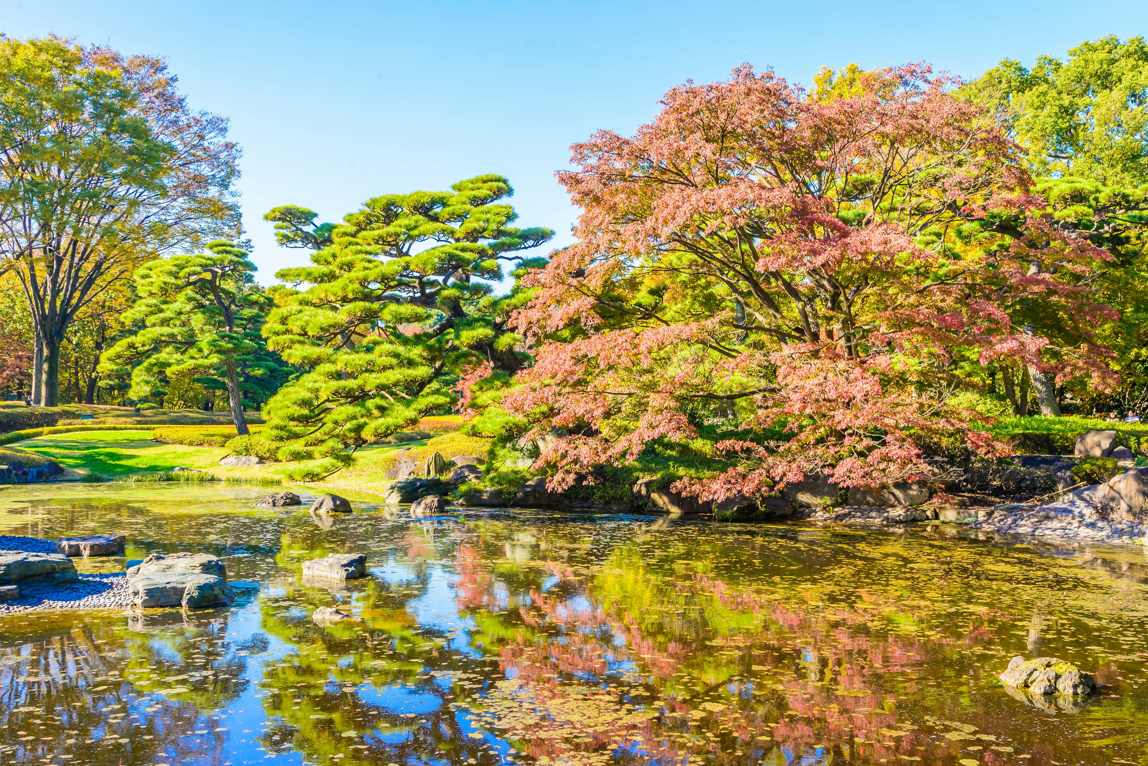 Garden in the park at imperial palace - Japan