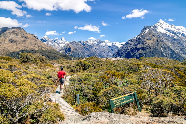 A hiker follows a boardwalk through bushes towards a mountain peak