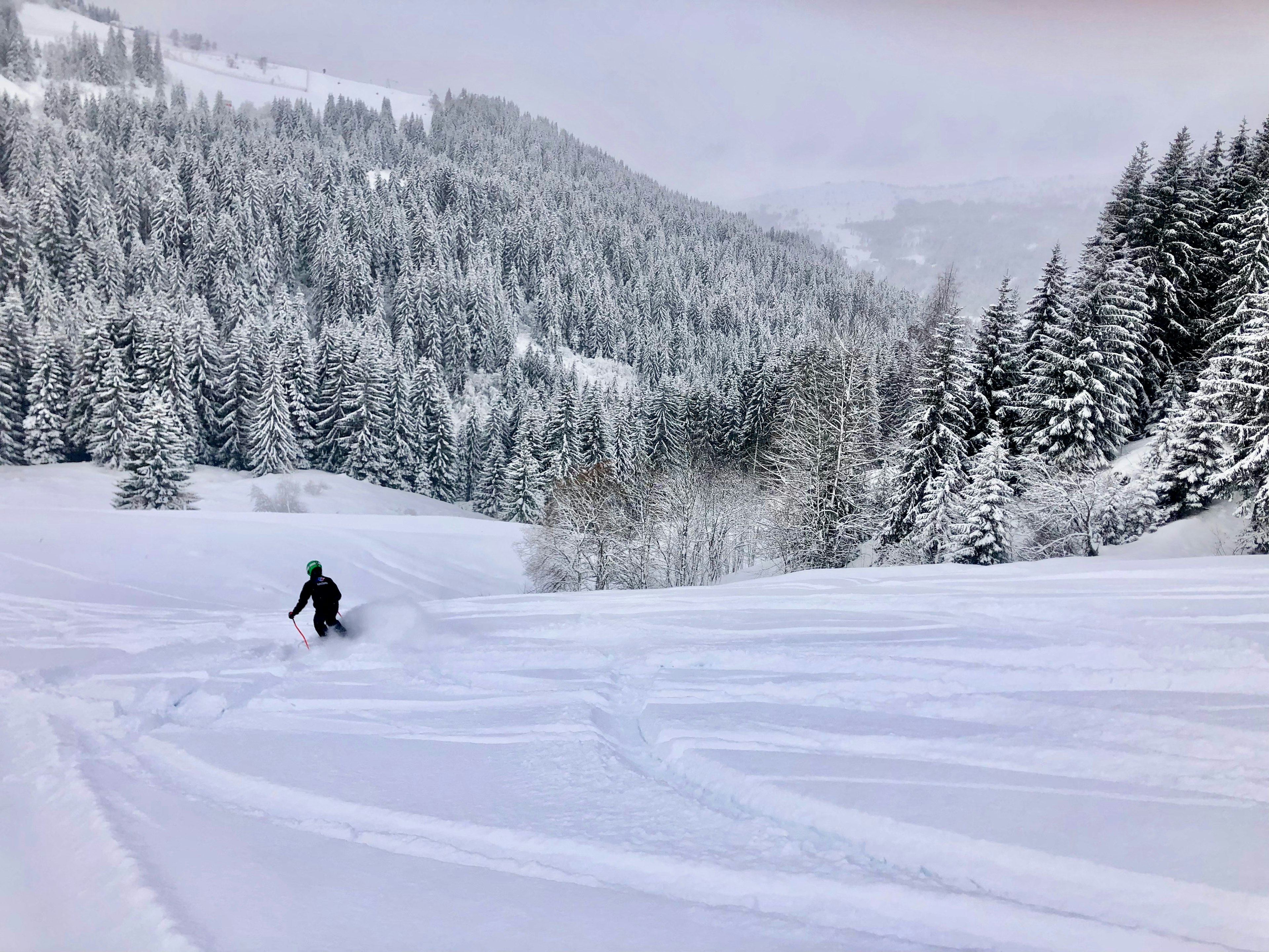 A skier carves their way through a beautiful winter scene.