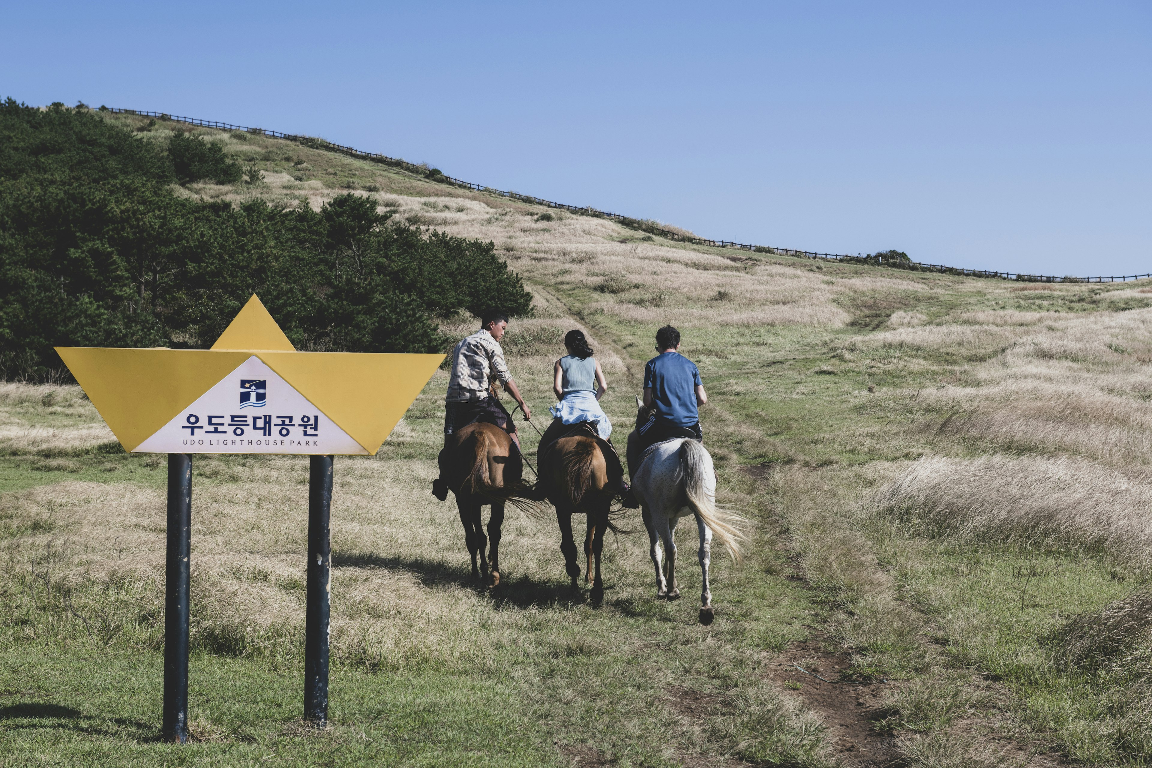 Horseback riding near the Udo Lighthouse, Jeju-do, South Korea