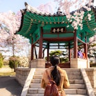 Asian woman sightseeing Korean pavilion in the park with the cherry blossoms are blooming in Seoul, South Korea.
1161586643