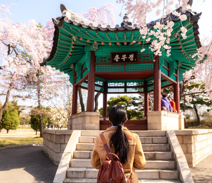 Asian woman sightseeing Korean pavilion in the park with the cherry blossoms are blooming in Seoul, South Korea.
1161586643