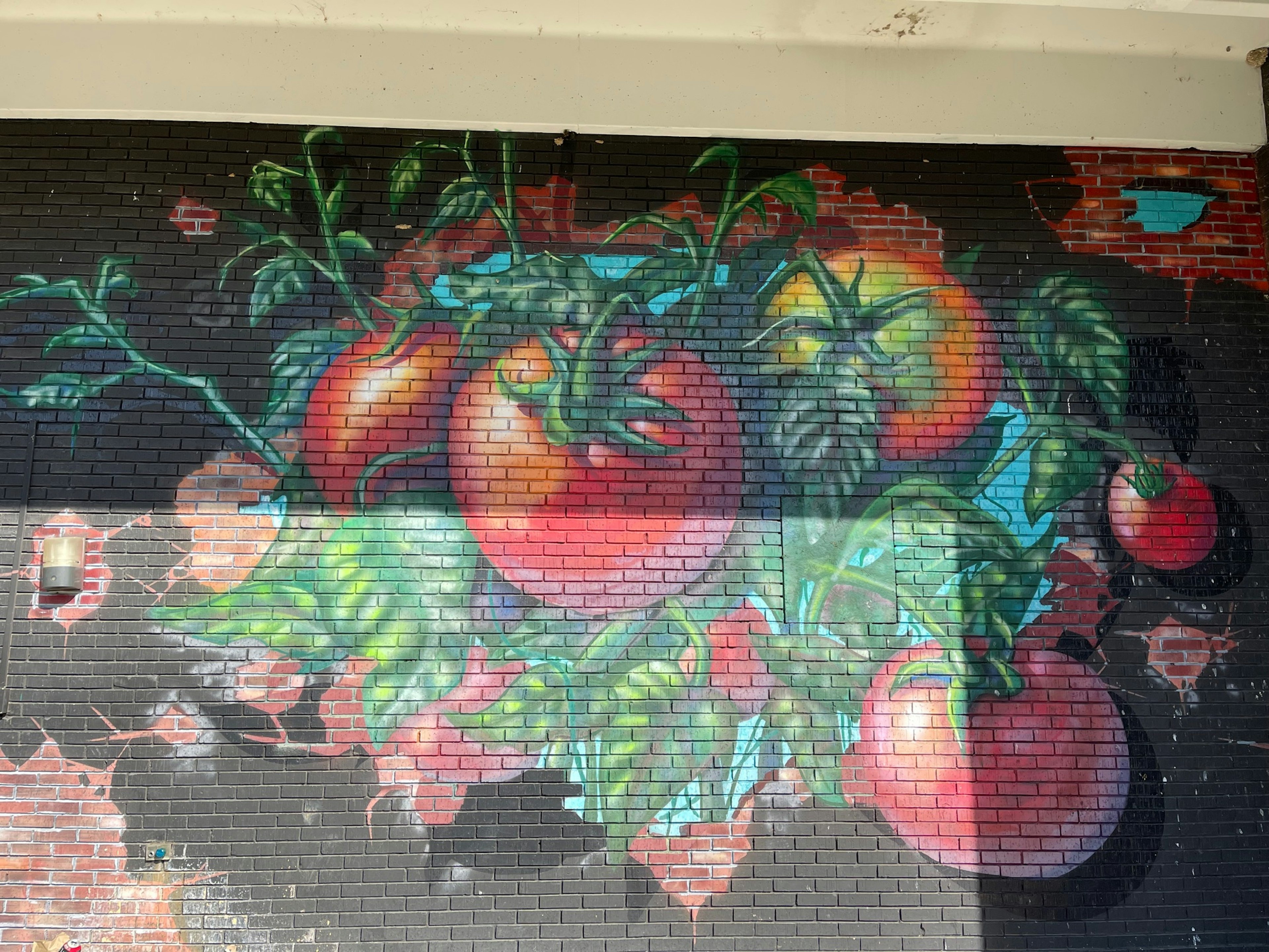 Mural depicting tomatoes smashing through a brick wall