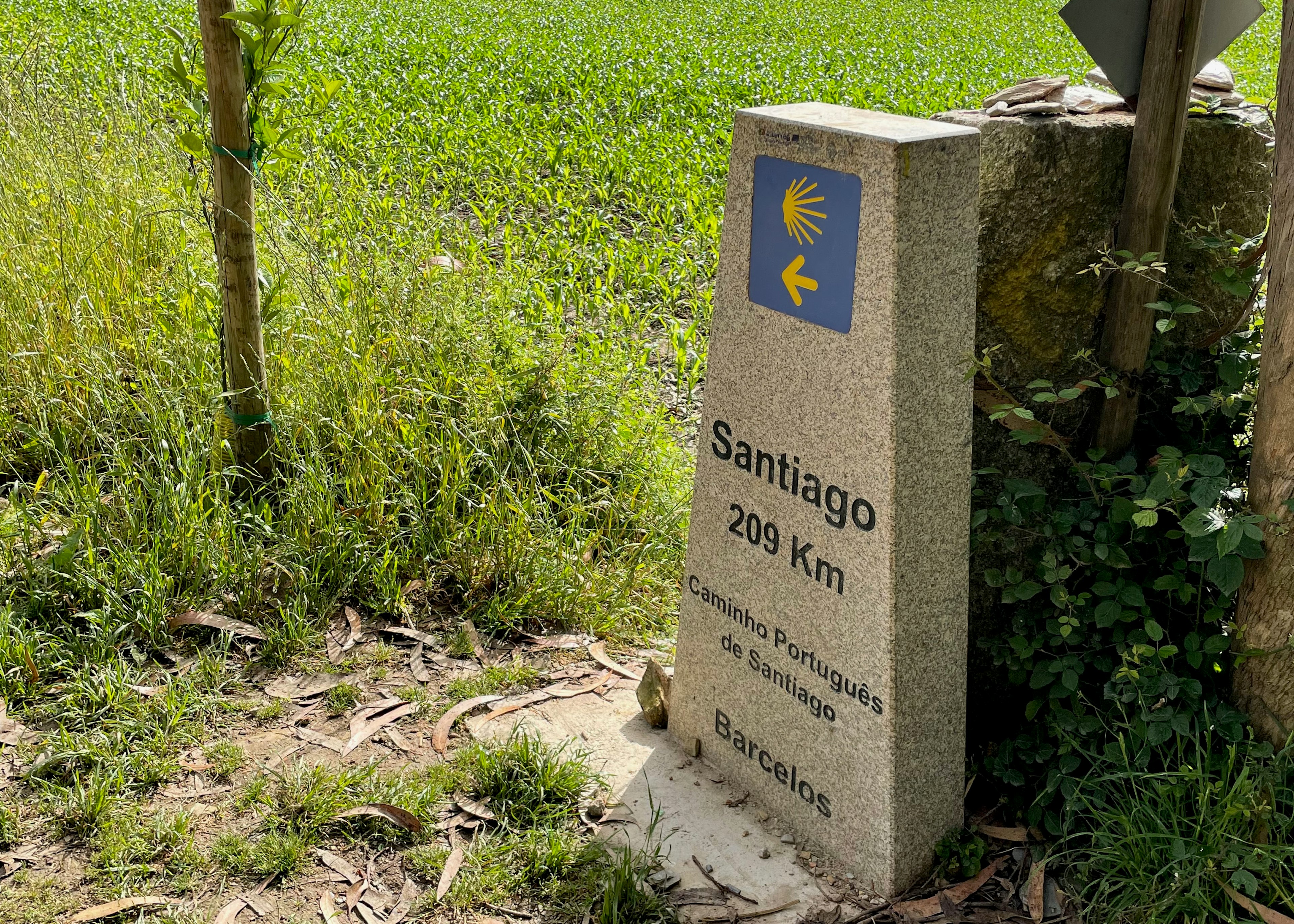 yeager_camino_marker.jpeg