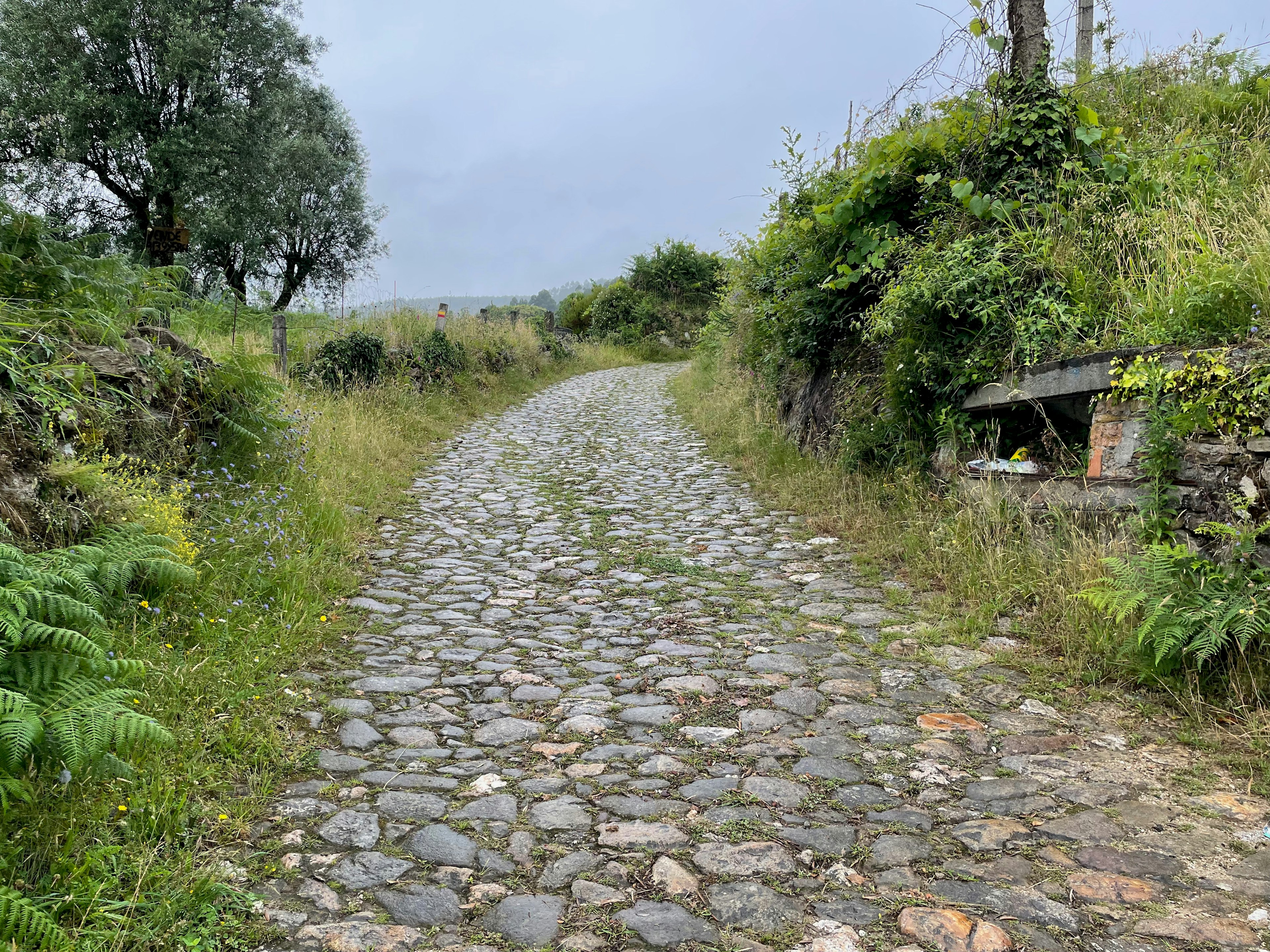 yeager_caminoportuguese_cobblestone.jpeg