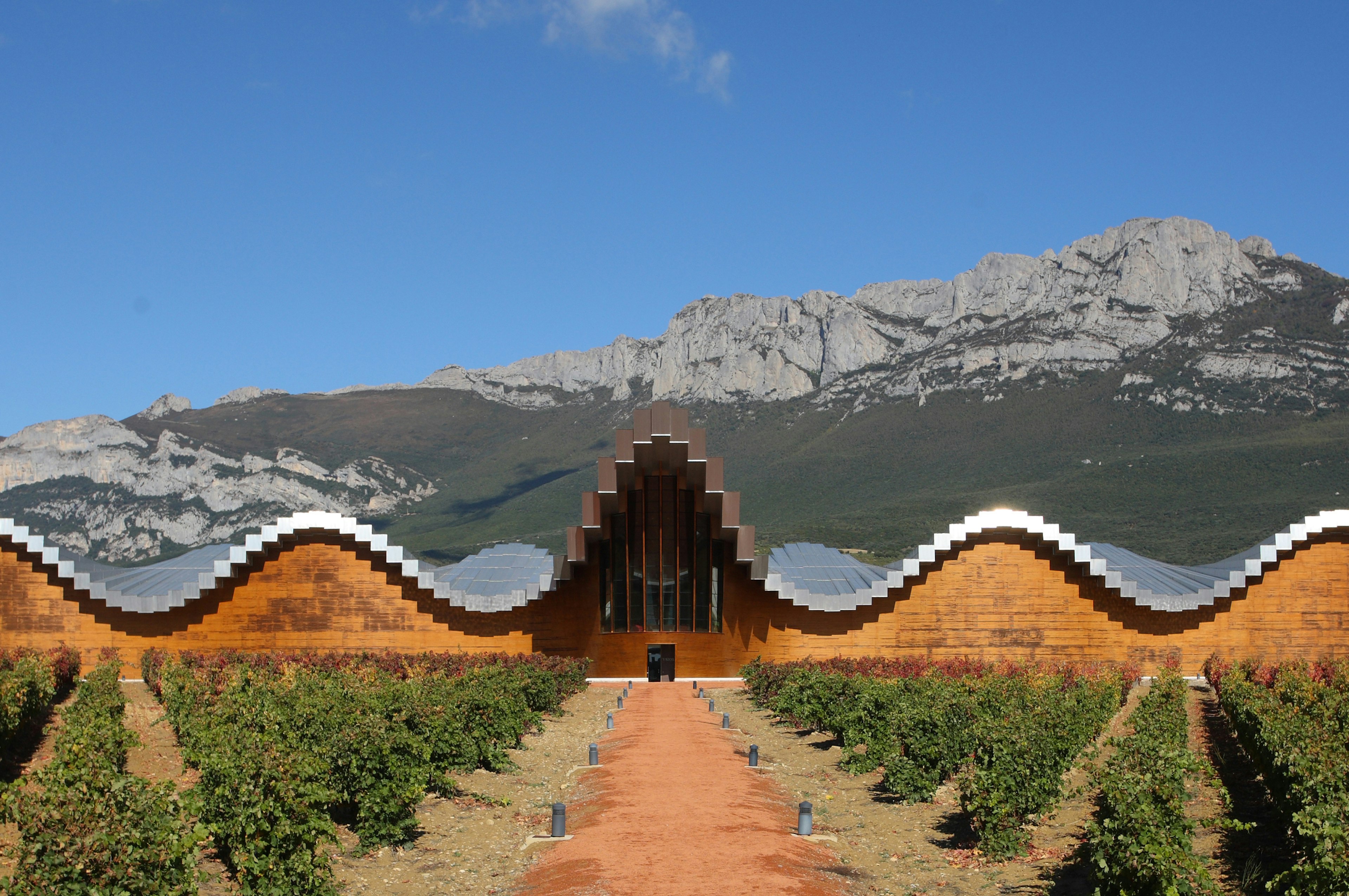 A dirt path between rows of low green shrubbery leads to a structure with a metallic sloping roof and a wooden entrance. A large mountain can be seen in the distance; visit Basque Country