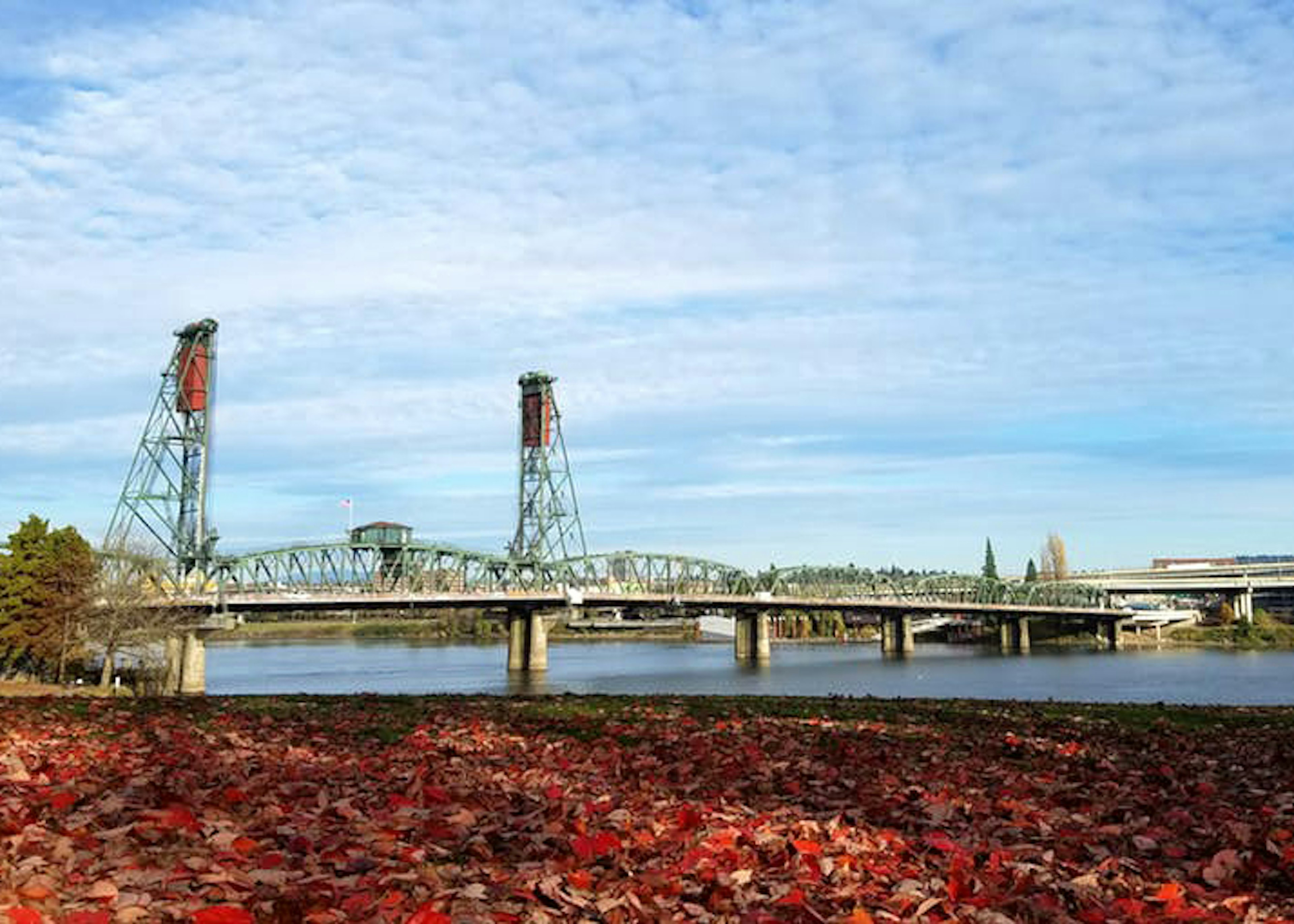 Autumn leaves carpet the ground in Tom McCall Waterfront Park, Portland © Mike Johansen / Lonely Planet