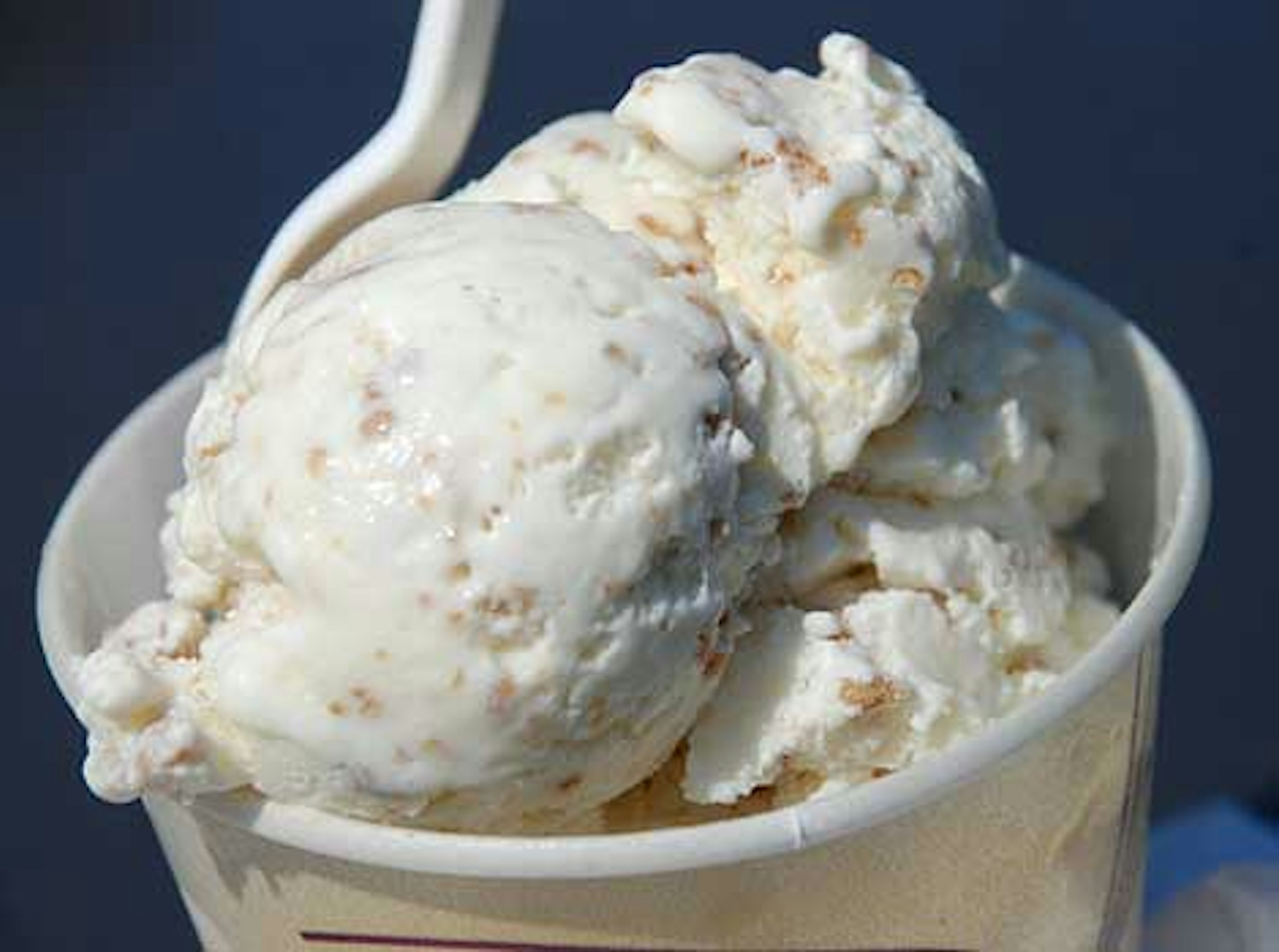 Grape Nut ice cream by kthread. Creative Commons ShareAlike Licence.